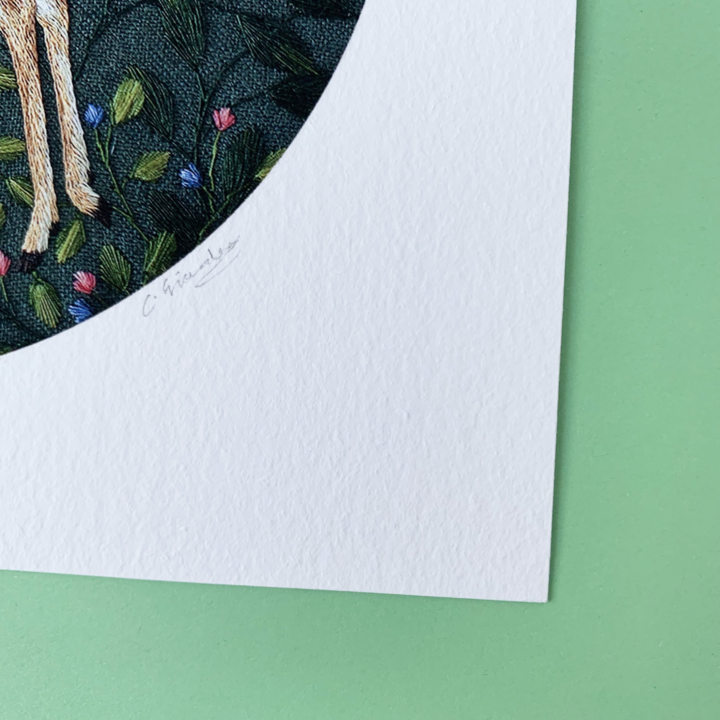 greenfawnprintsig1.jpg