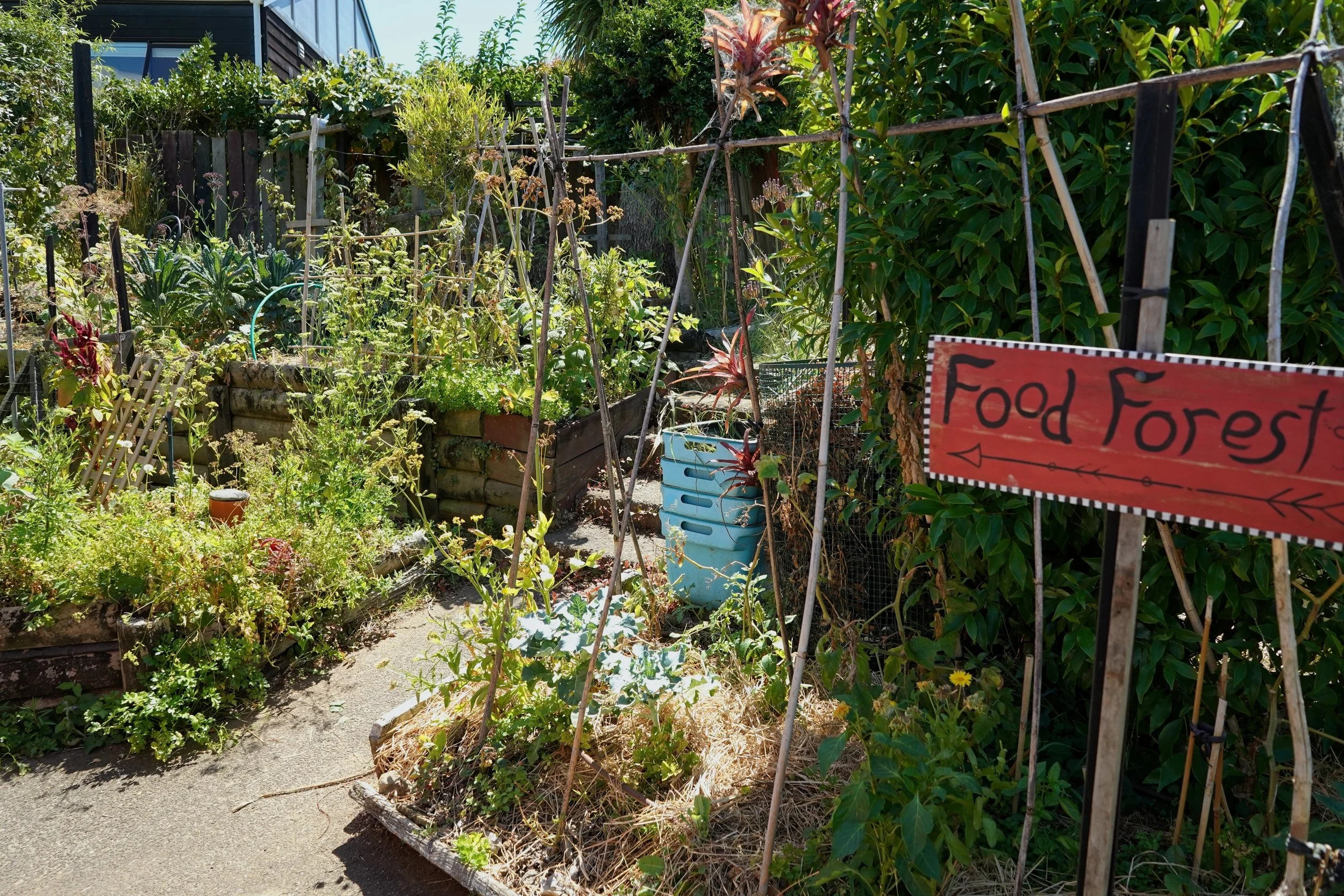 St Johns Food Forest