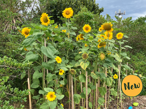 Love Your Path - Place of Interest - Free!