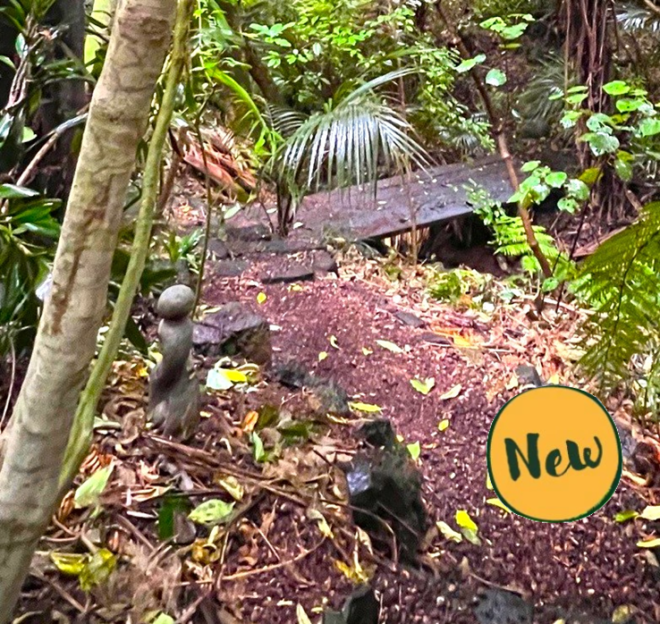 Riparian Regeneration