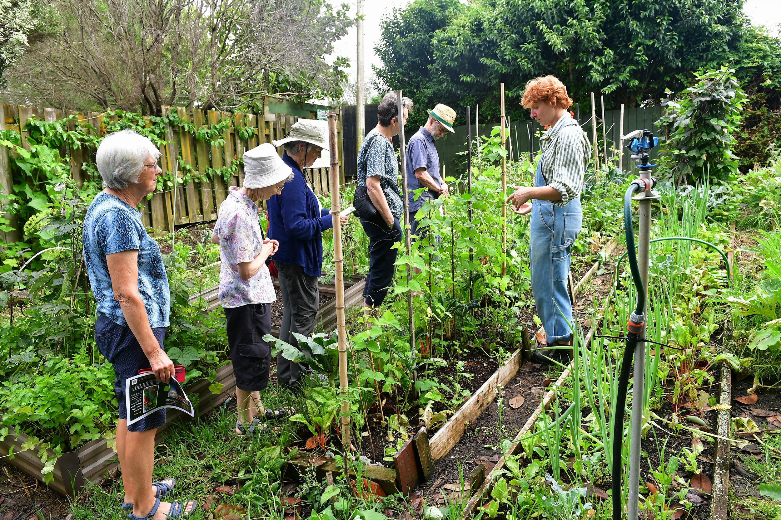 Tāmaki Urban Market Garden — Eastern Bays Sustainable Garden Trail
