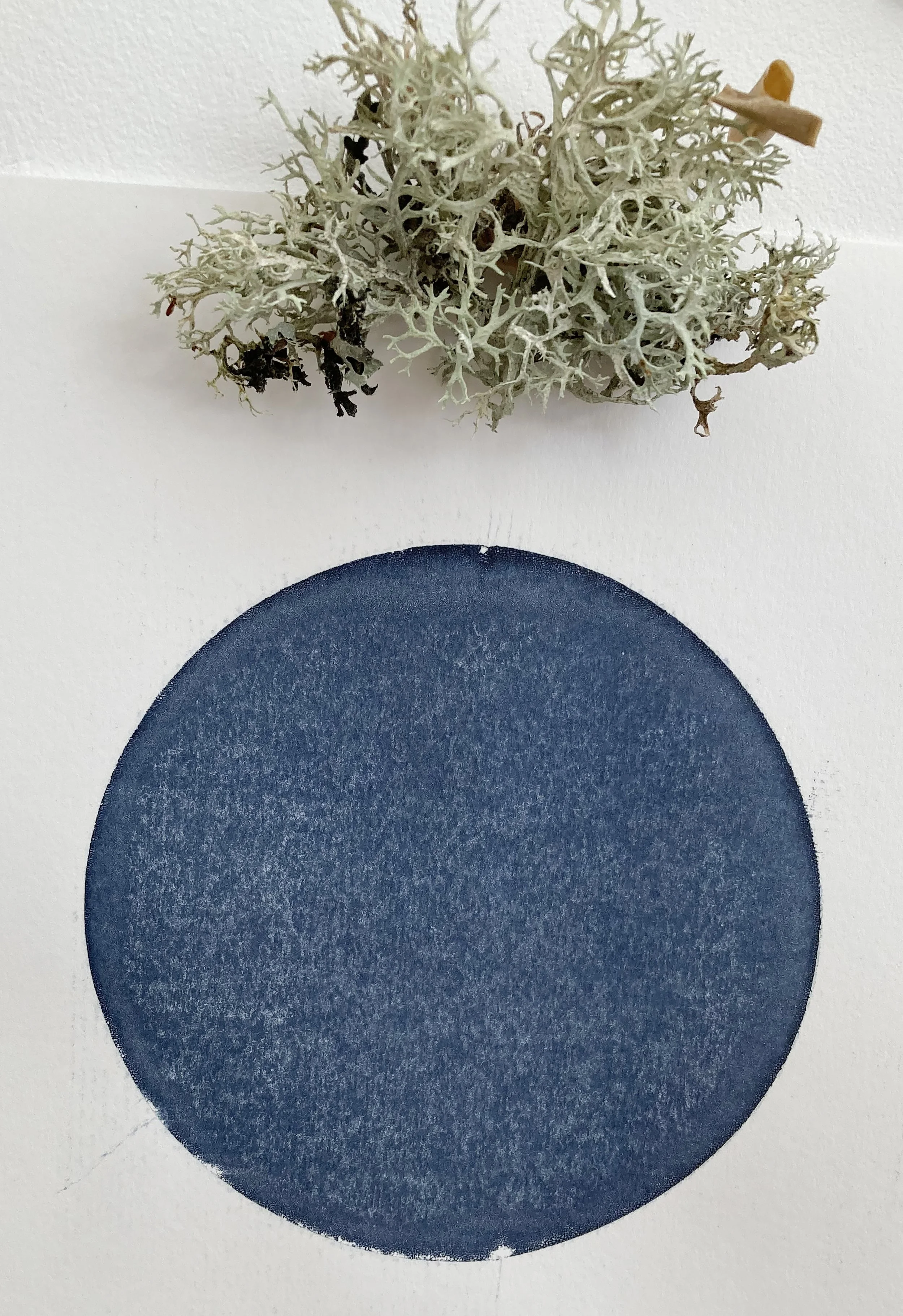 a3. indigo & lichen.jpeg