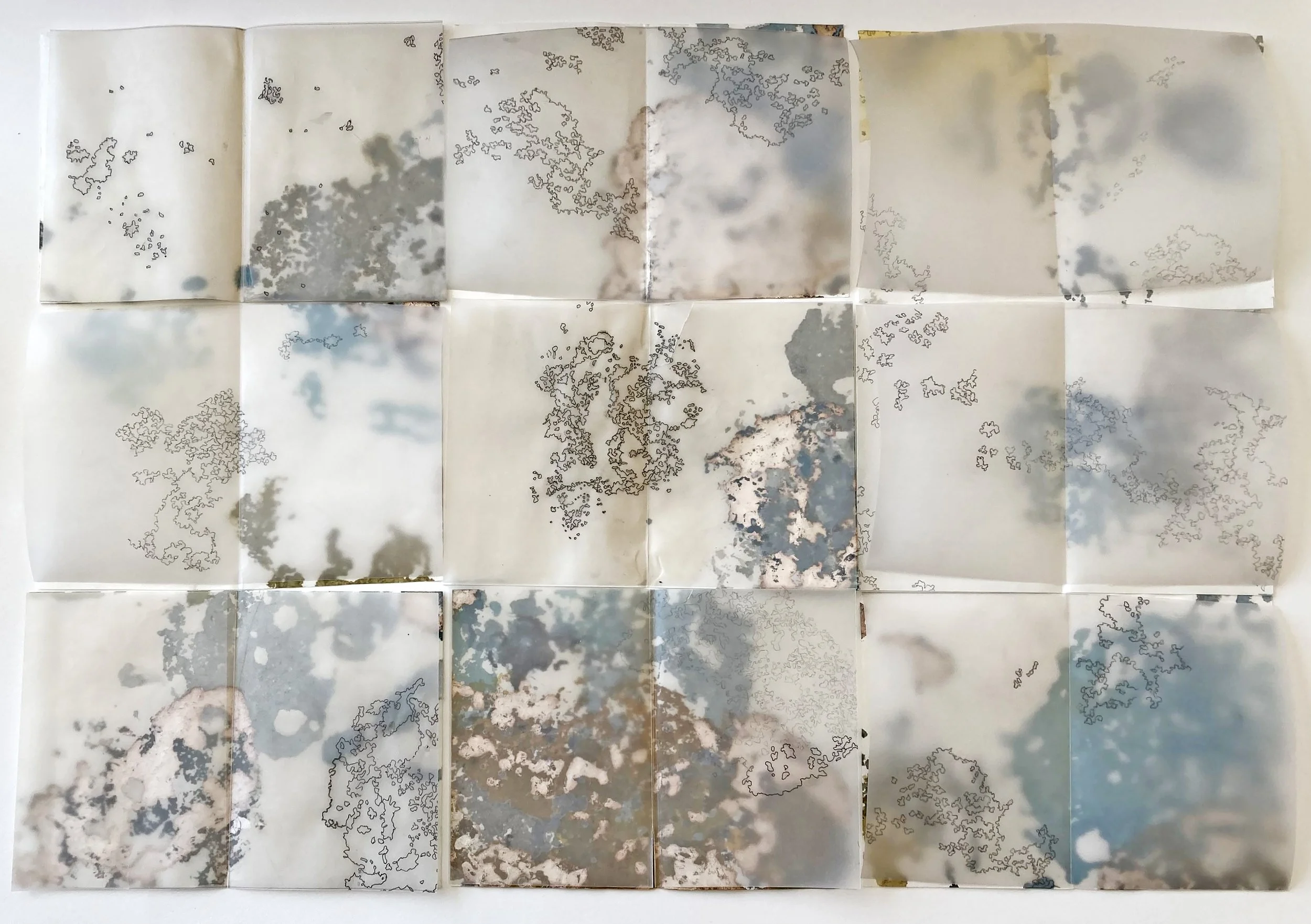 Mapping Water | inks, graphite & silver leaf on paper