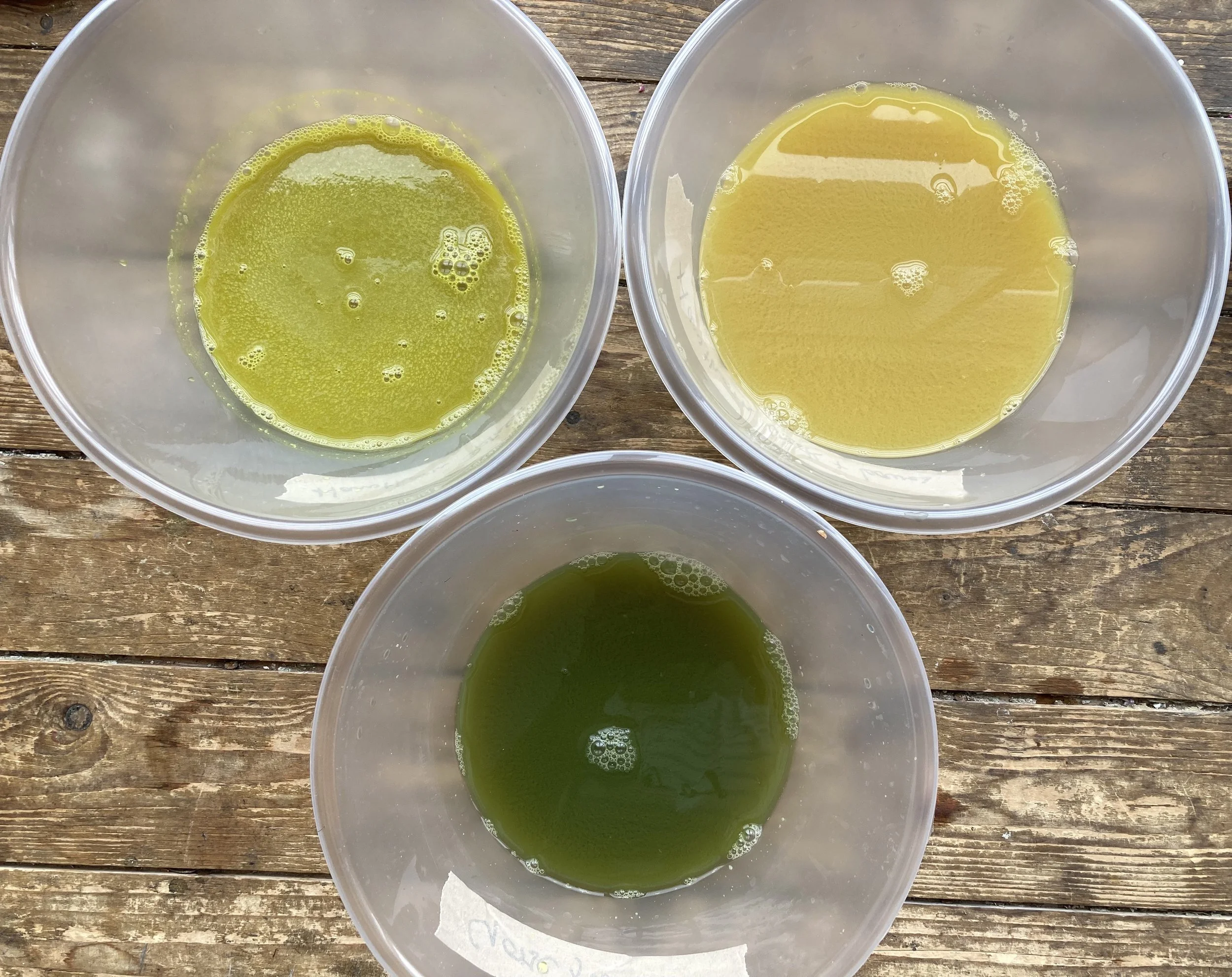 a2. Three inks in progress.jpg