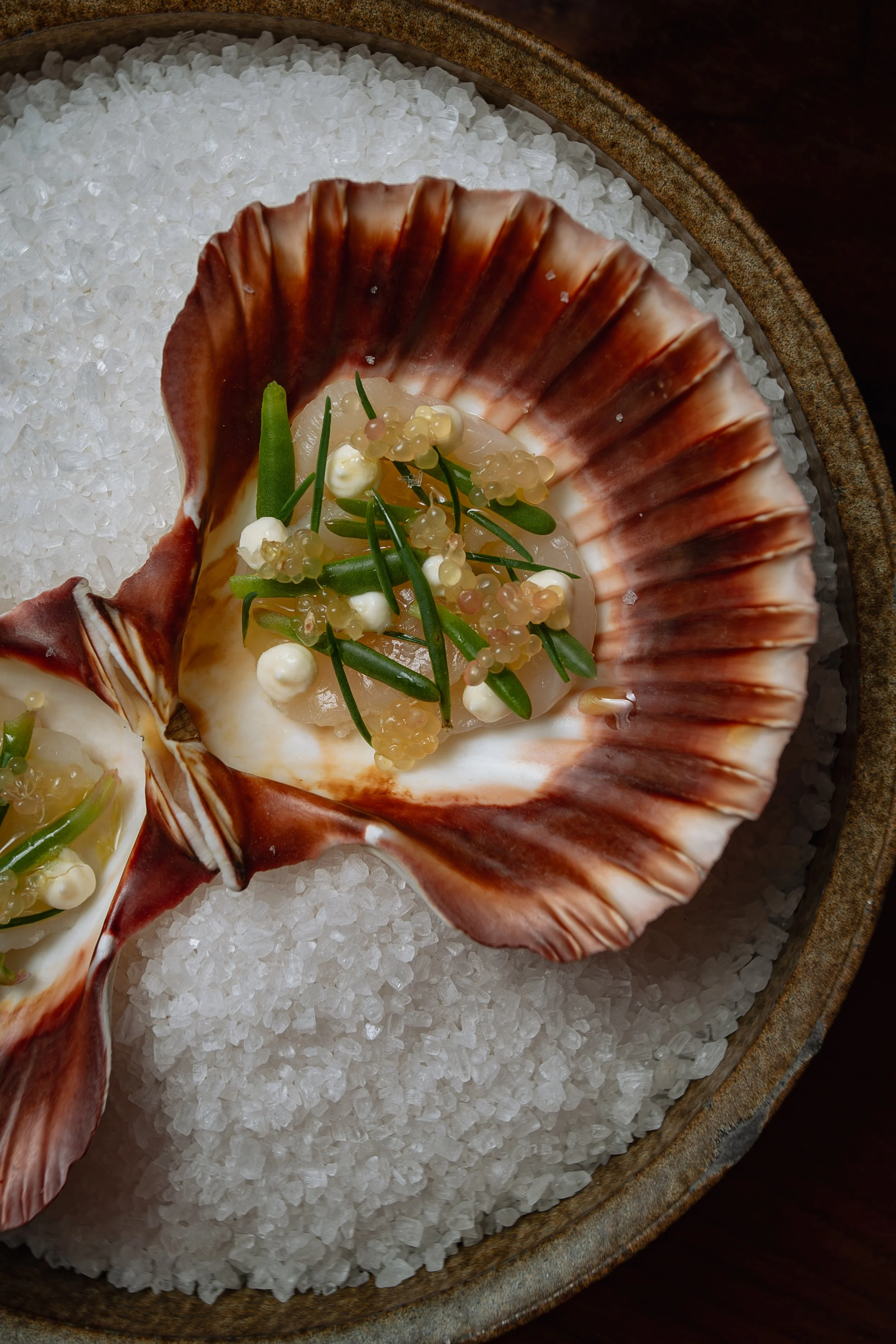 Close-up of a seafood dish with a scallop shell filled with scallops, garnished with green herbs and small white pearl-like spheres, served on a bed of coarse sea salt in a rustic bowl.