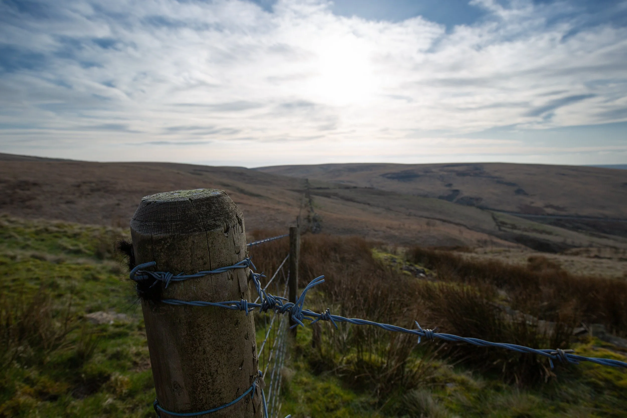 2020-03-22_Canon EOS 5D Mark III_TheMoors_IMG_3771.jpg