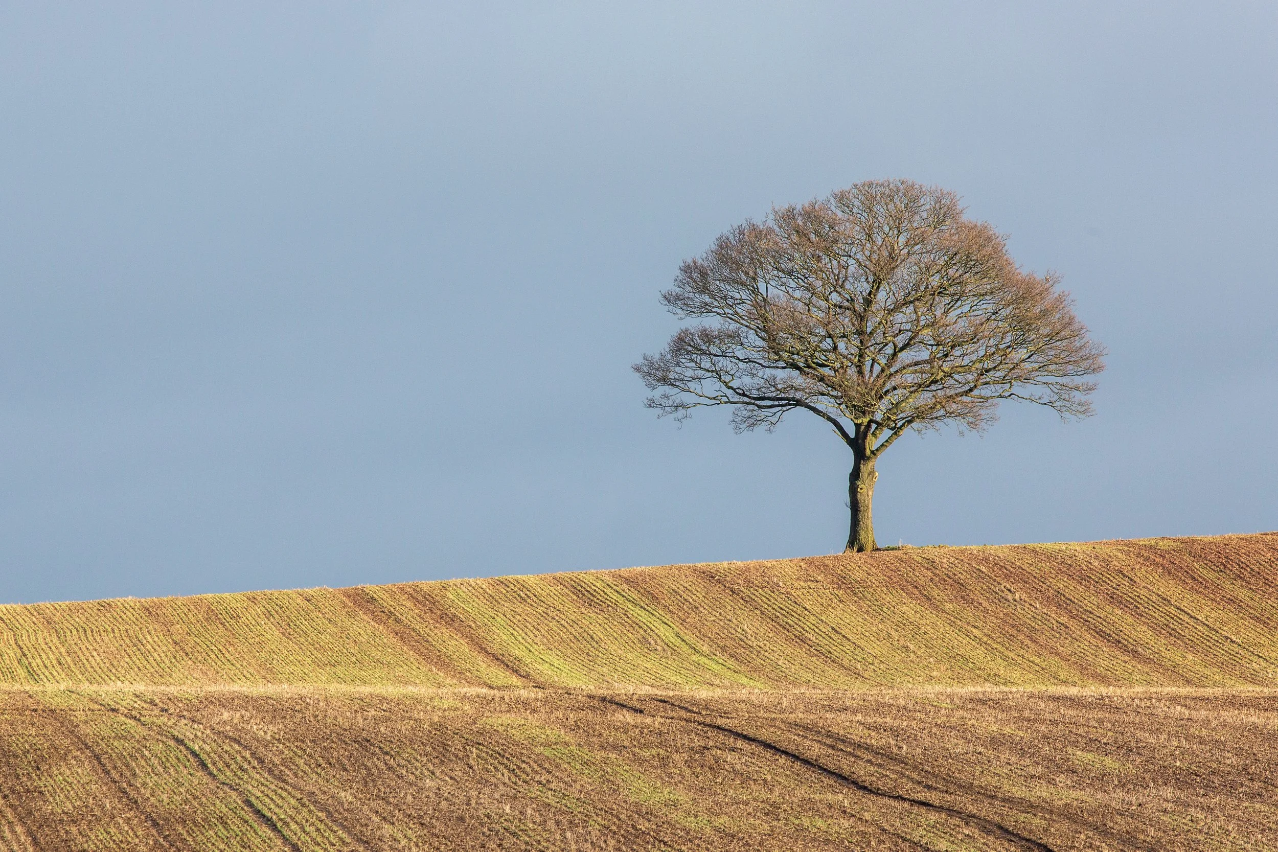 2019-12-13_Canon EOS 5D Mark III_Birmingham_IMG_0314.jpg