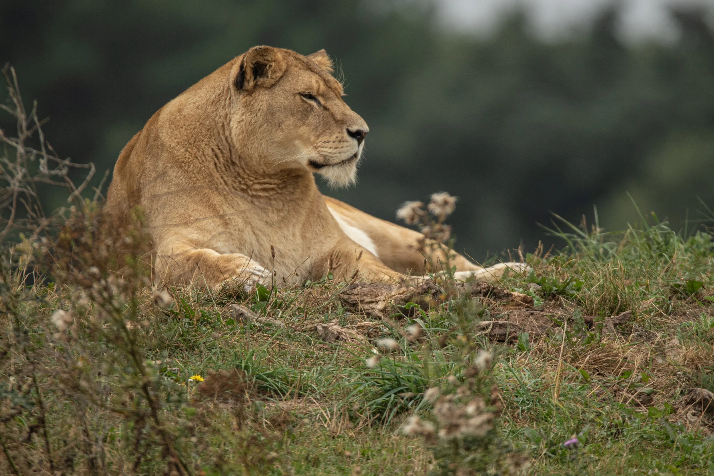 2021-09-01_Canon EOS 7D Mark II_untitled_IMG_9720.jpg