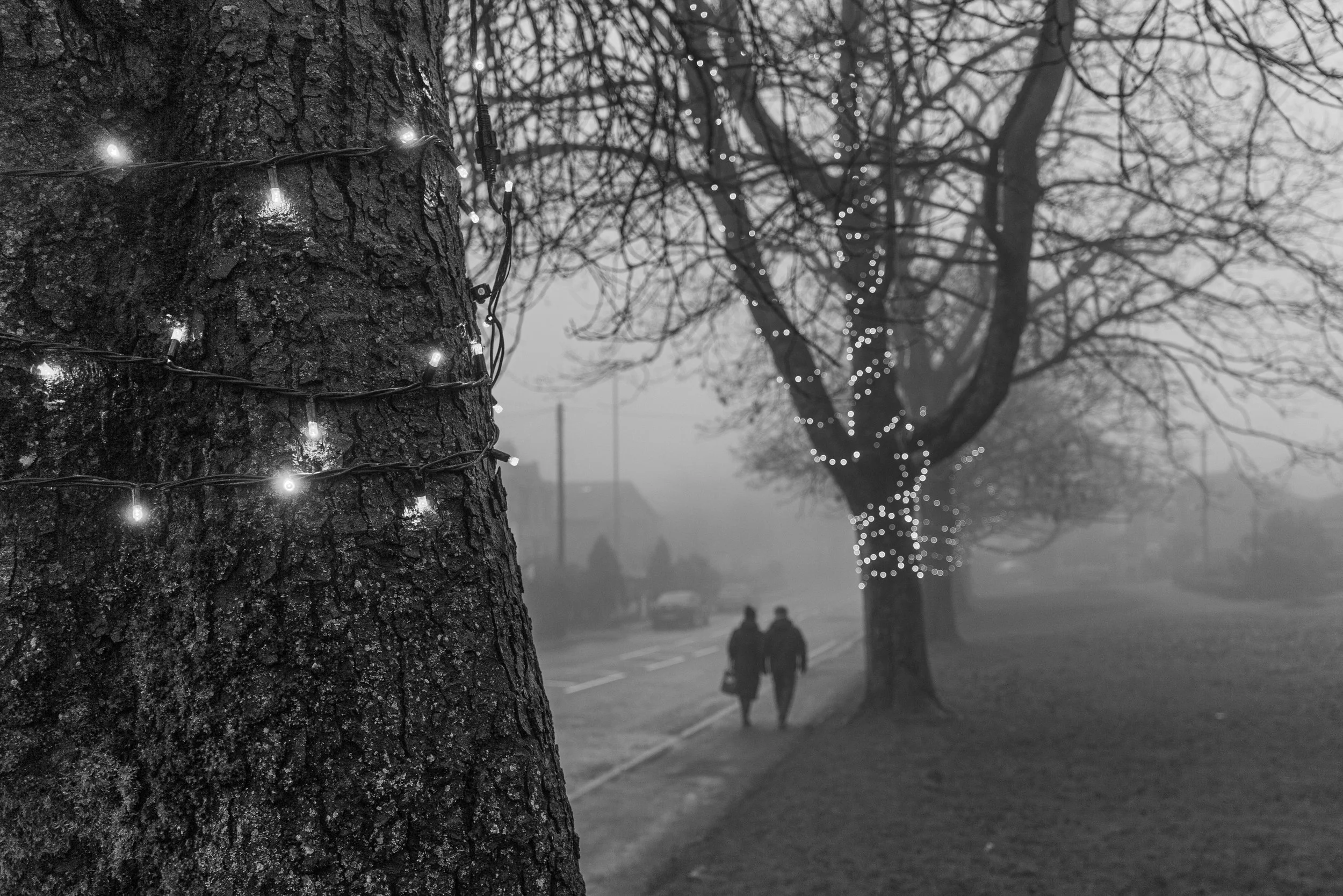 2021-02-05_Canon EOS 5D Mark III_untitled_IMG_9596.jpg