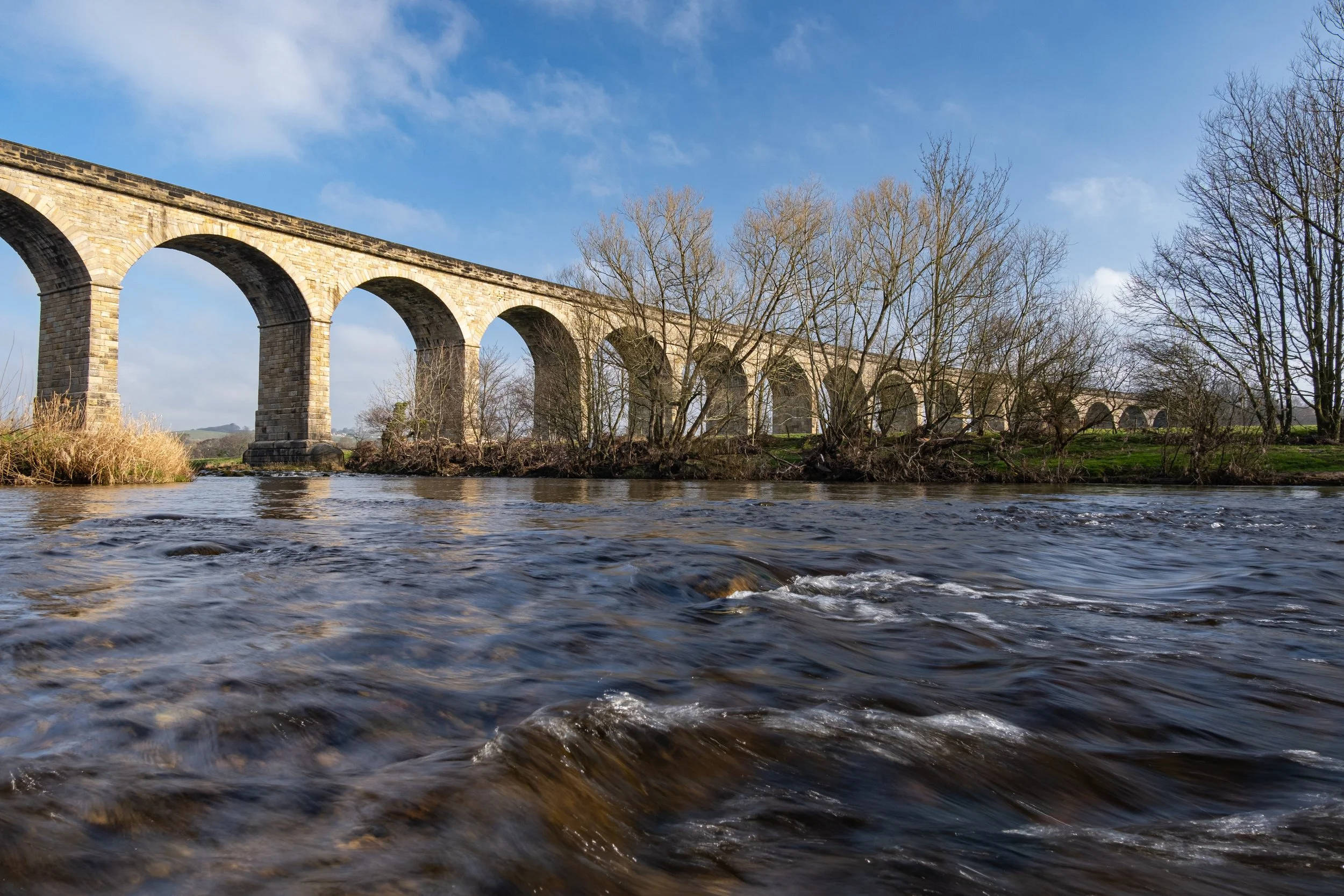 2022-03-20_X-T3_ArthingtonViaduct_DSCF3497.jpg