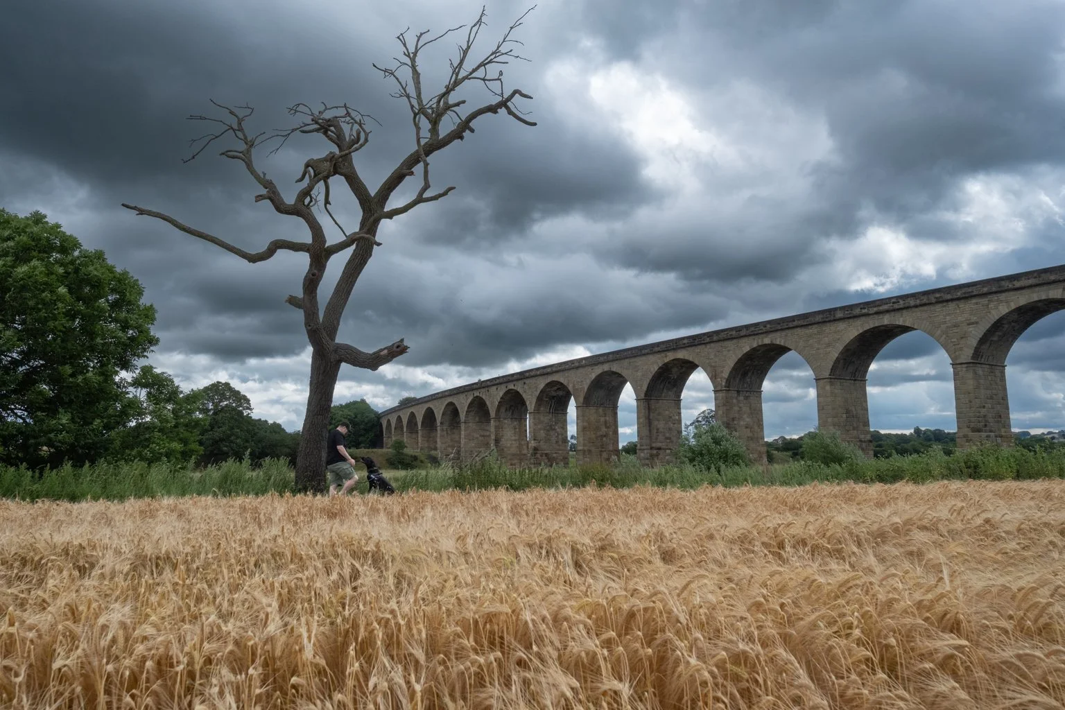 Sunday 28th June - Arthington Viaduct.