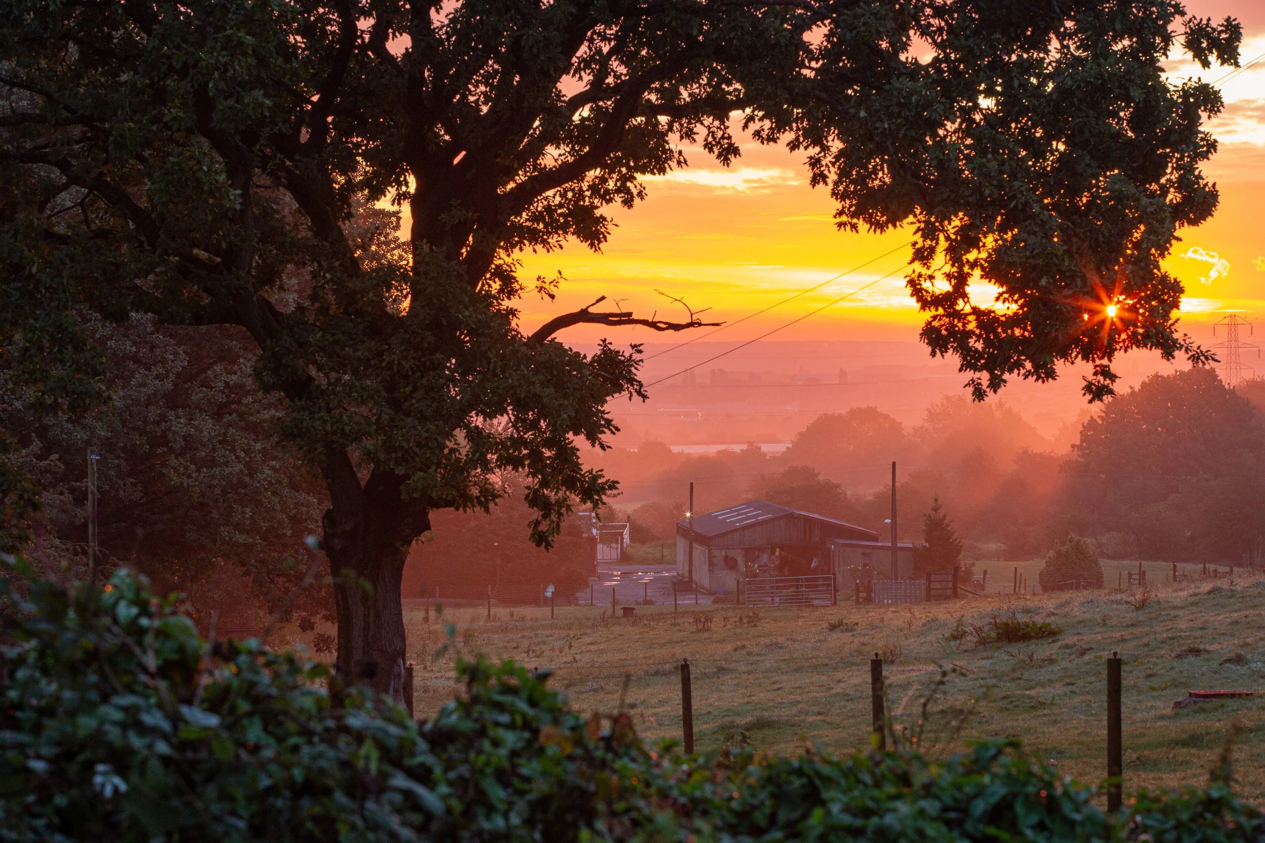 2020-09-24_Canon EOS 5D Mark III_Miscellaneous_IMG_7578.jpg