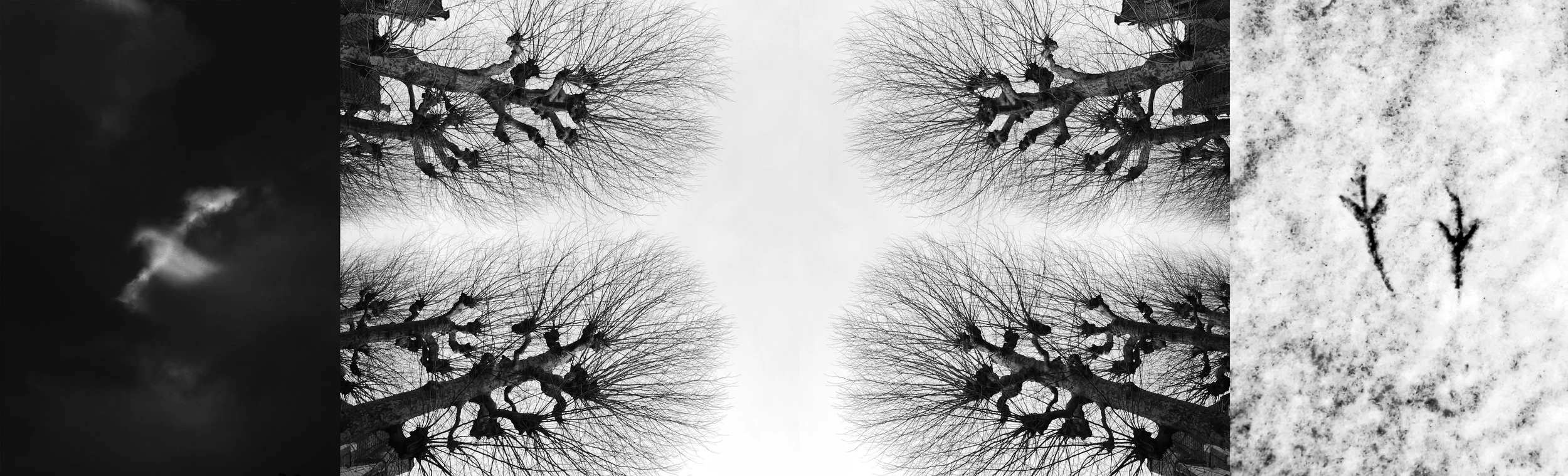 Aria,
formicolio ai piedi
richiamo
un attimo già volato.