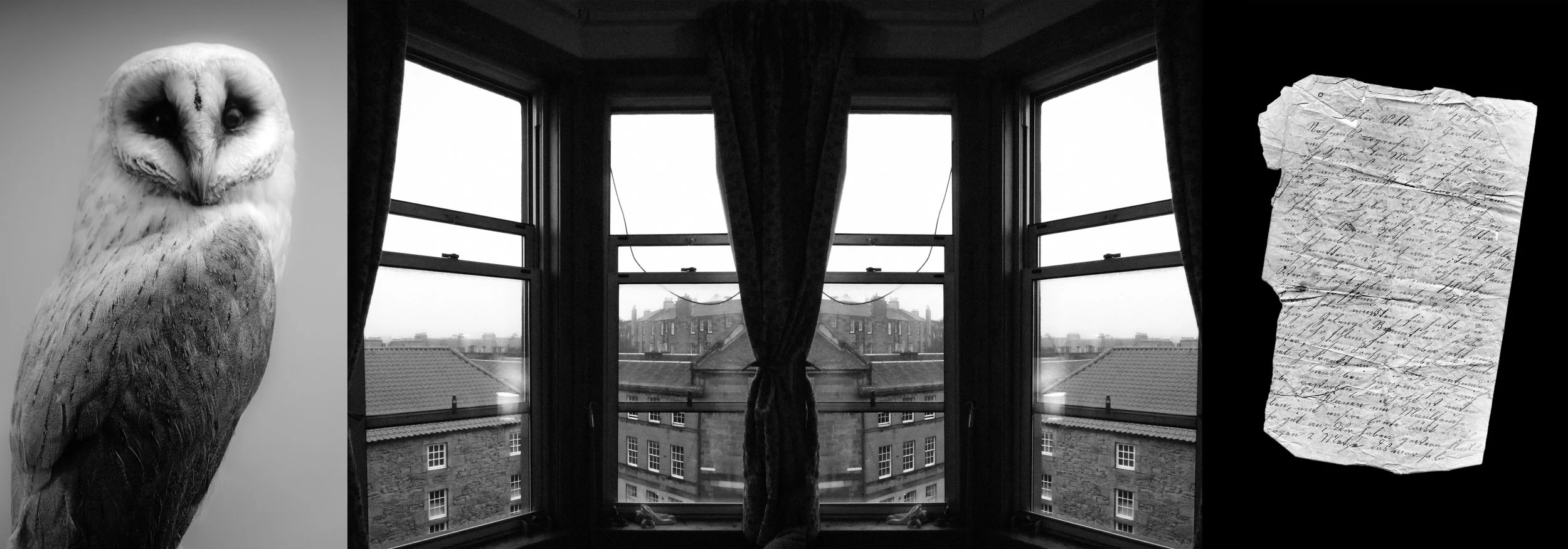 Scavalca il tempo
pallido Iris
antichi frammenti.