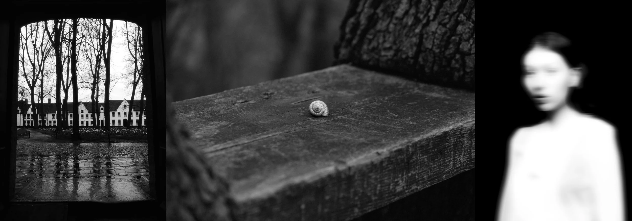 Grigio impalpabile
tutto è immobile
qualcosa mi sfiora...
legno di faggio
materia e spirito.