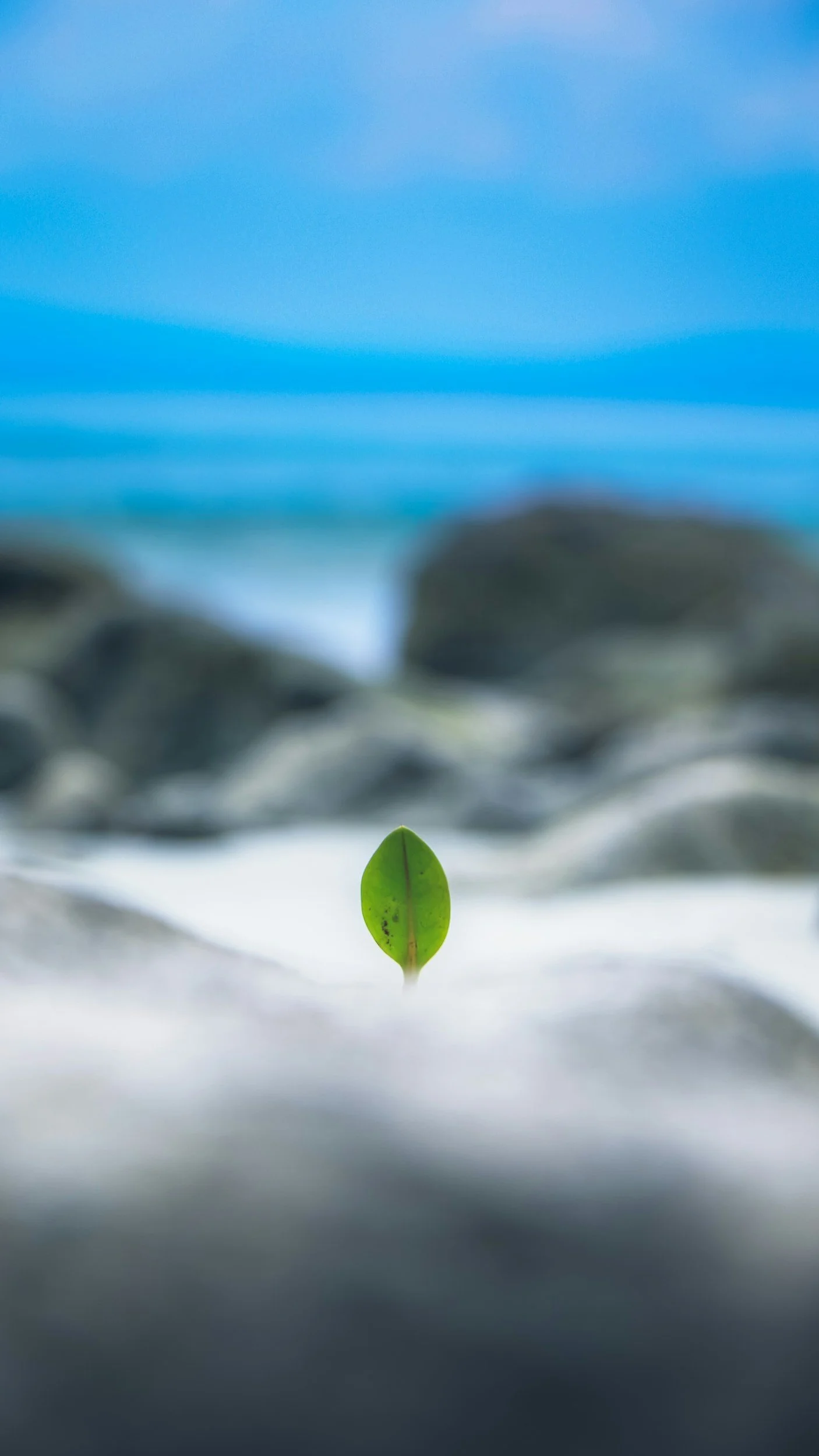 What Is The Hope Of A Christian? 
