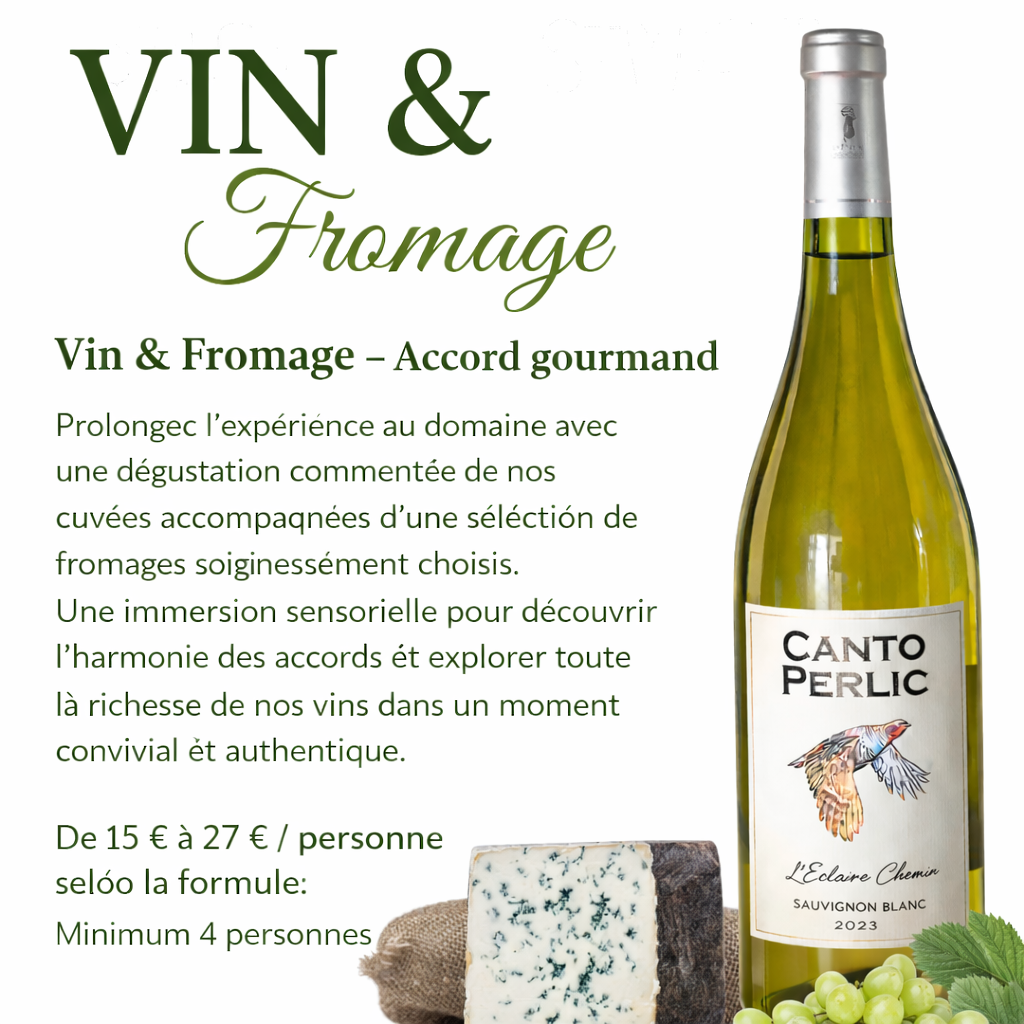Vin &amp; Fromage : l’accord parfait au Domaine Canto Perlic