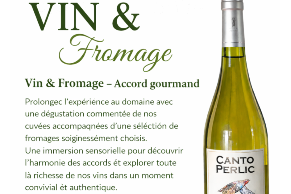 Vin &amp; Fromage : l’accord parfait au Domaine Canto Perlic