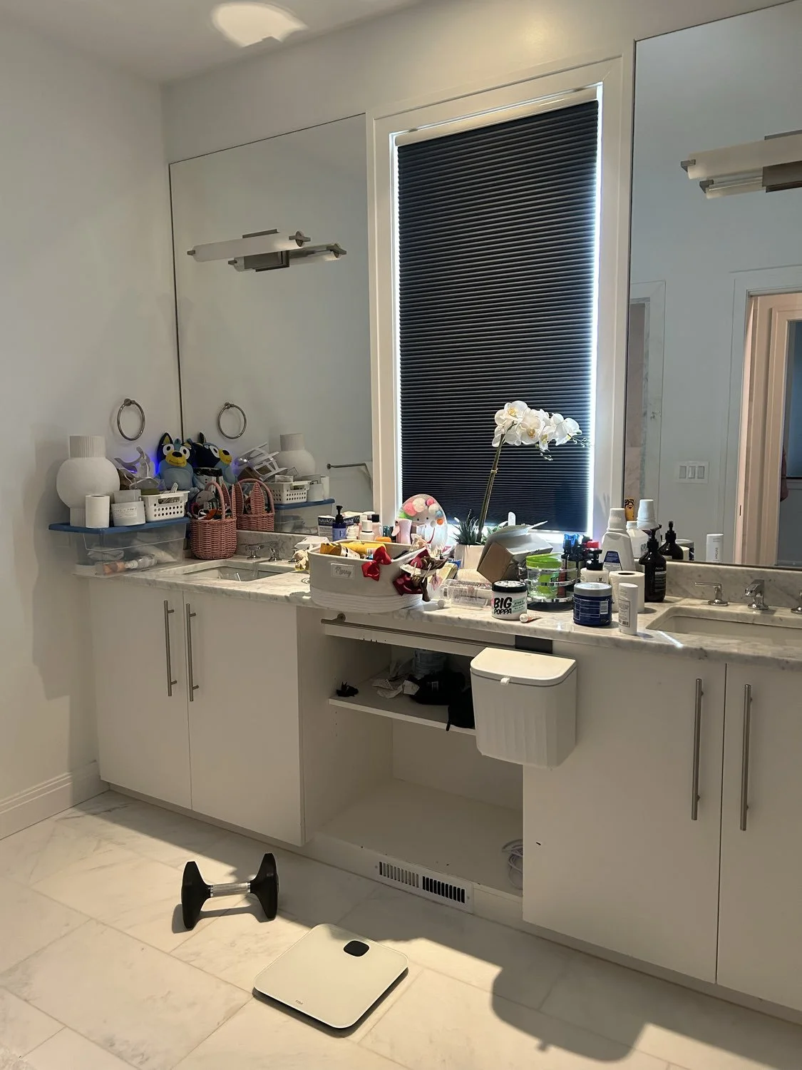 cluttered and messy bathroom in Bratenahl, Ohio before organizing