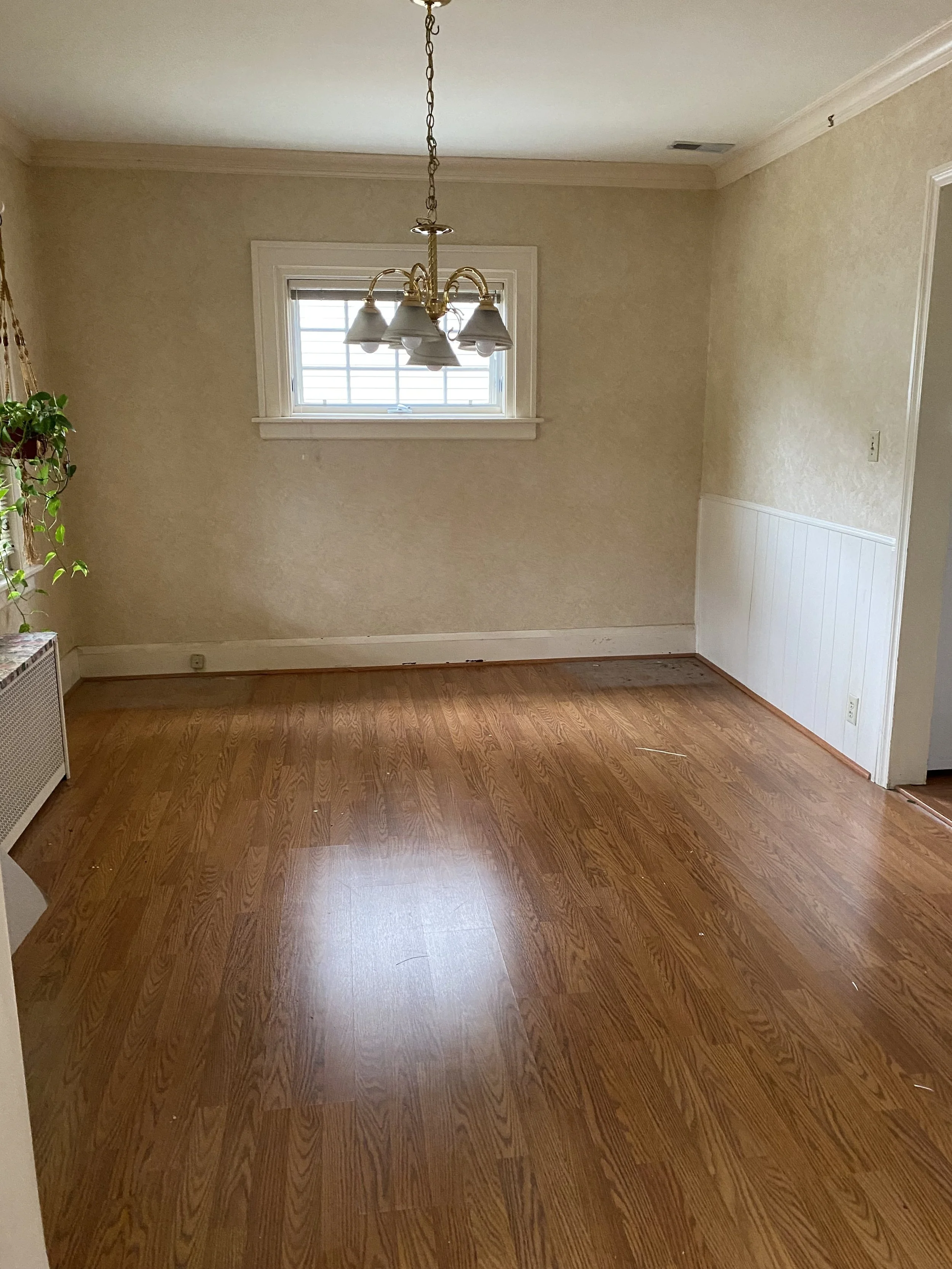 Empty room with no furniture, wooden floor, cream walls with a high window at the back of the room and small chandelier in the middle.  to the left if a small radiator and hanging plant partially cut off by the edge of the photo.