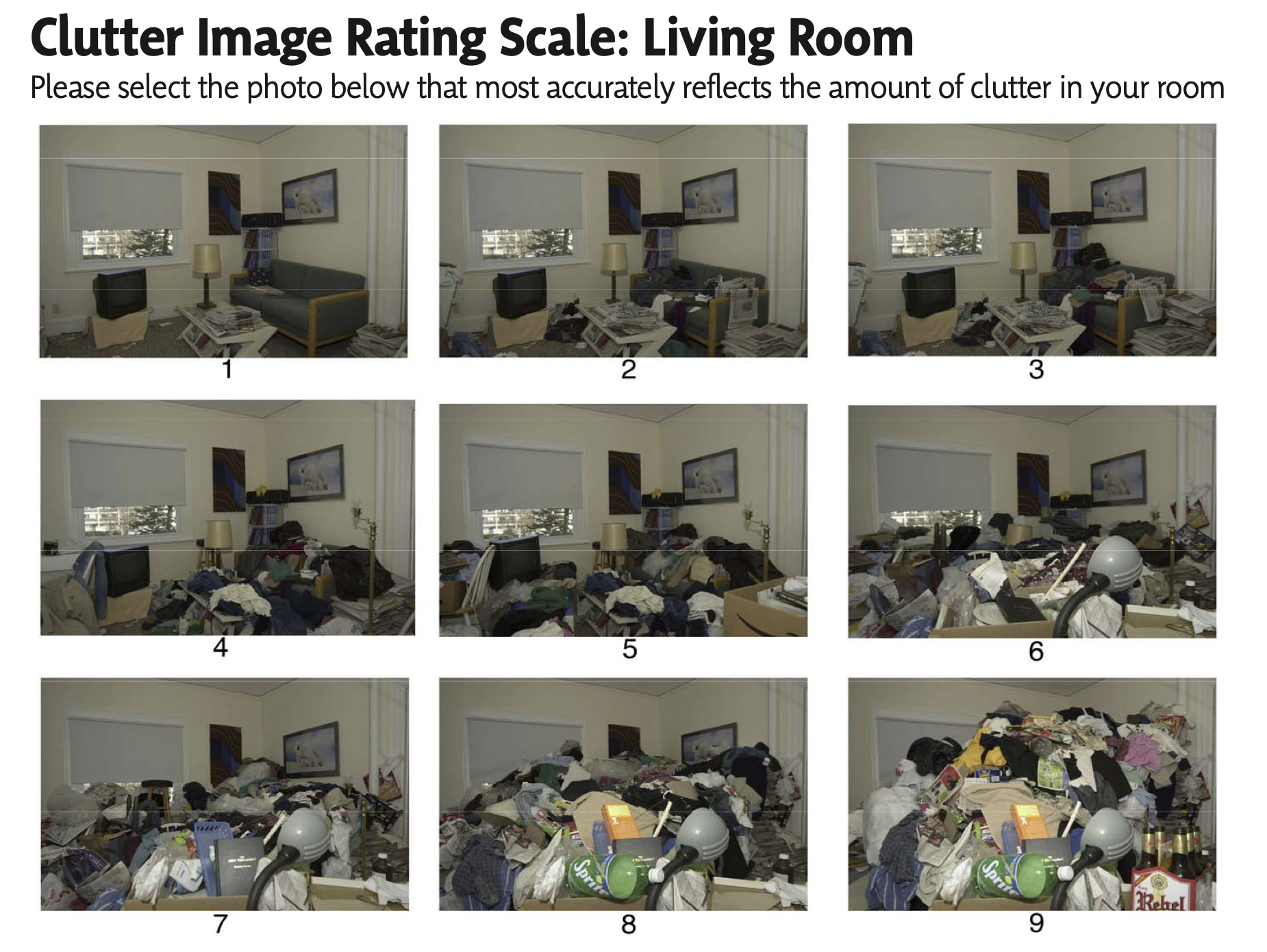 Clutter Image Rating Scale: Living Room