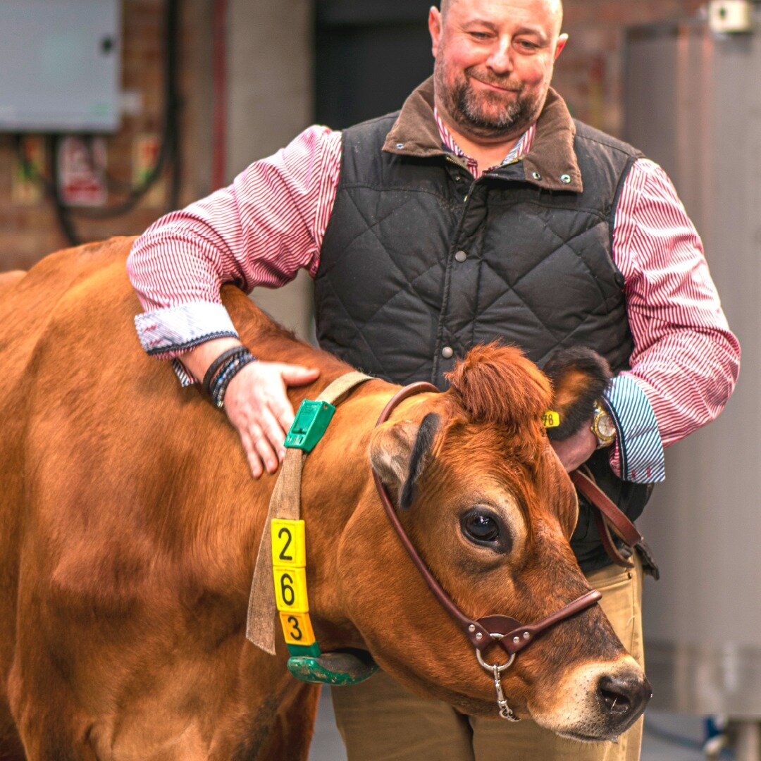 Meet Turnip the Jersey Cow 👋

Turnip popped into the Distillery to check that our latest batch of Dairy Spirits was up to the exceptionally high standards set by these magnificent creatures in all of their produce.

JCD Dairy Spirits are made from t