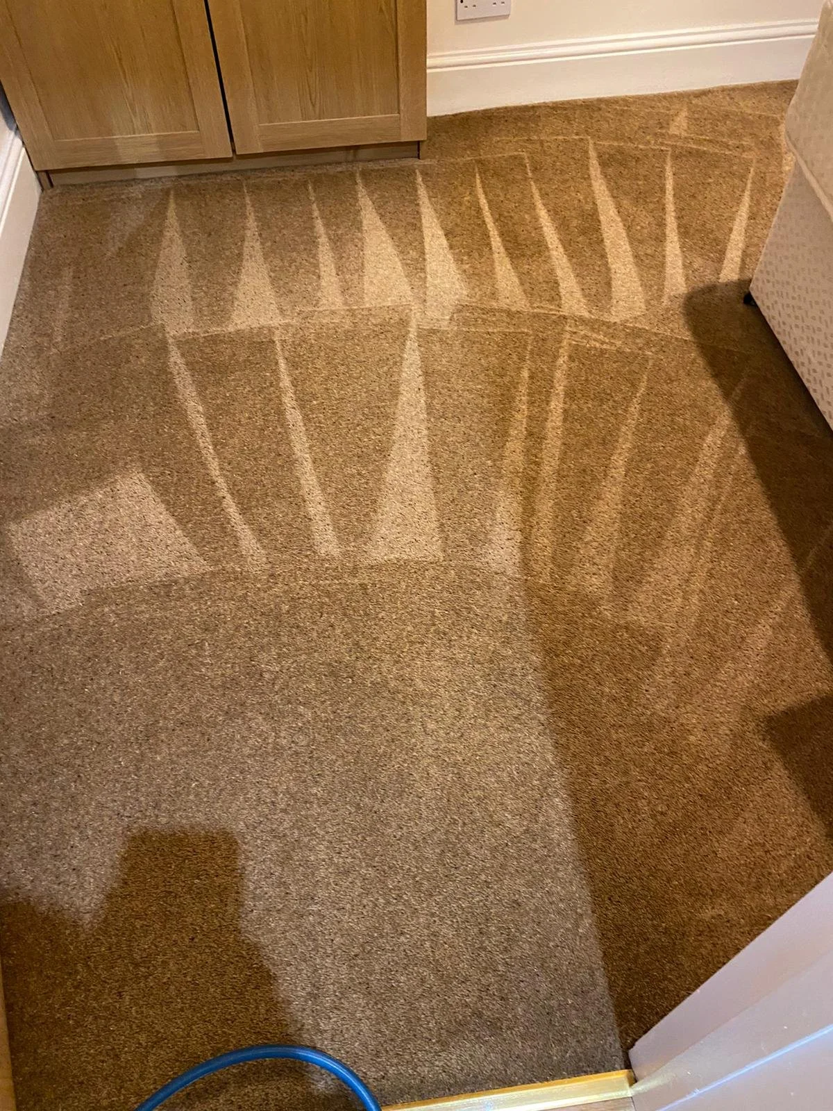 Carpet cleaning
