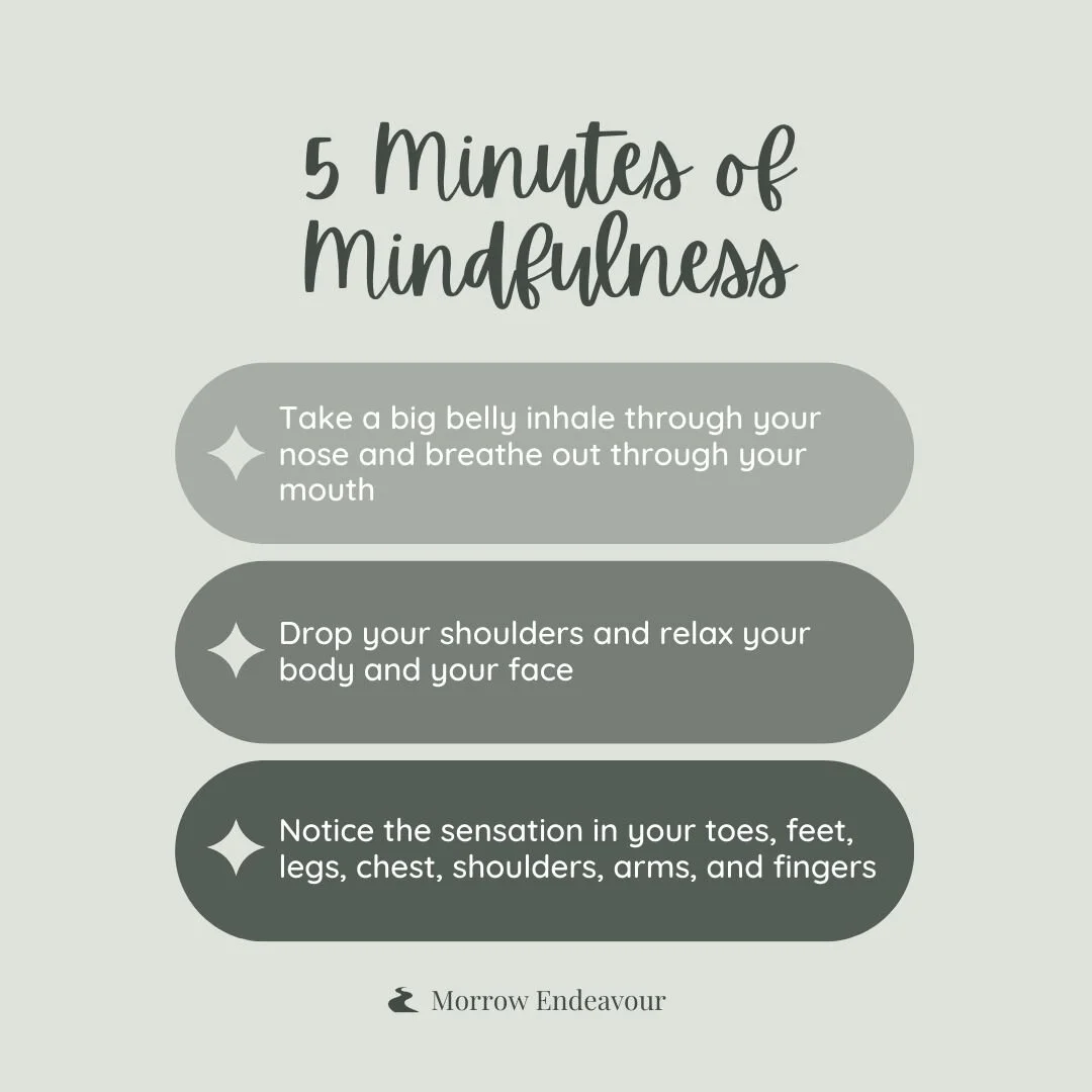 Amidst the hustle and bustle of our daily lives, it's easy to get caught up in a whirlwind of tasks and responsibilities. Taking a moment to slow down and pause, even just for 5-minutes, can make all the difference. ✨🌿⁣

In that brief moment of stil