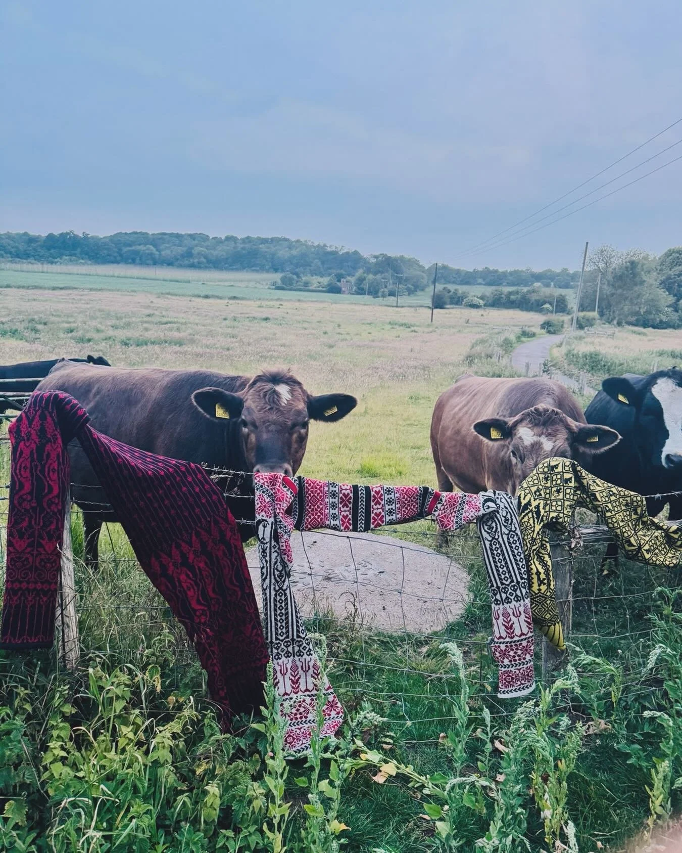 Hi &hearts;️ Just a quick reminder that I&rsquo;ll be closing my 🕸️site for a few weeks.. The last day to place orders is 24 June, and I&rsquo;ll be reopening on 15 July🖤

Wishing you all a brilliant Sunday!
S xx
#kentcountryside #countrylivin #kni