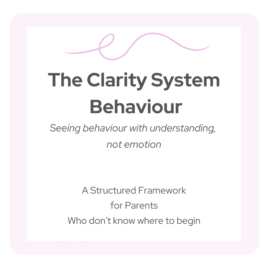 Clarity Intensive - Behaviour Mapping Intervention