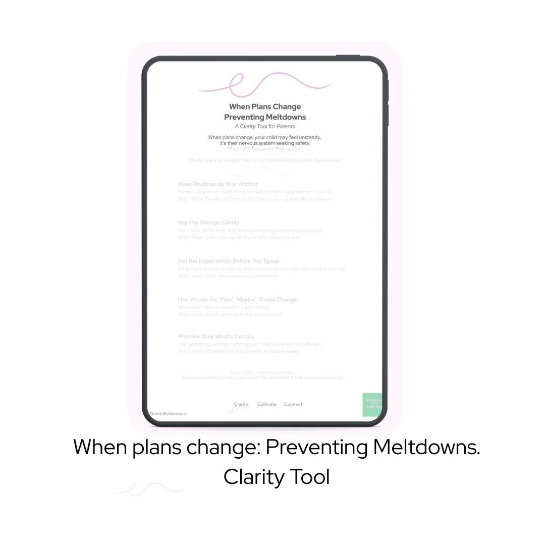 When Plans Change: How to avoid Meltdowns