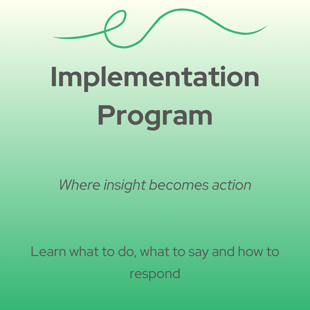 Implementation Program thumbnail image.png
