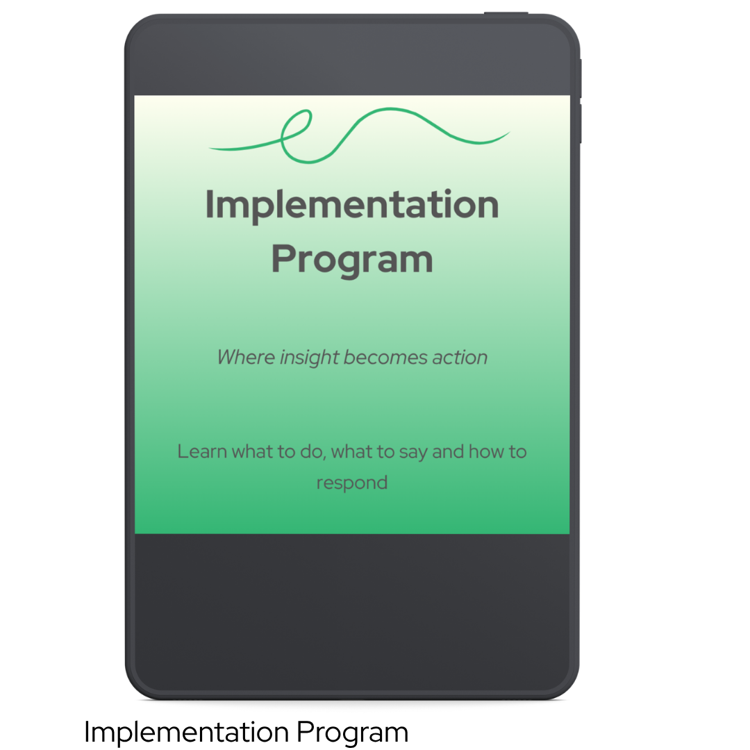 Implementation Program Thumbnail.png