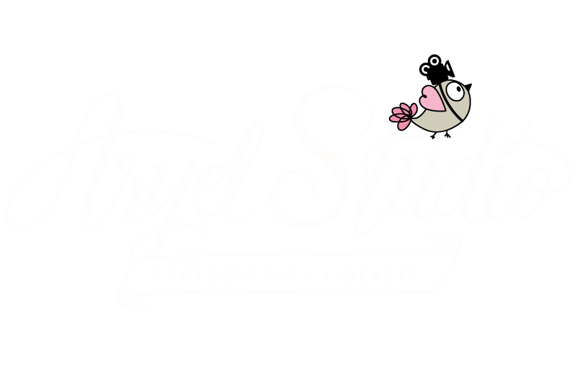 ARYEL Studio