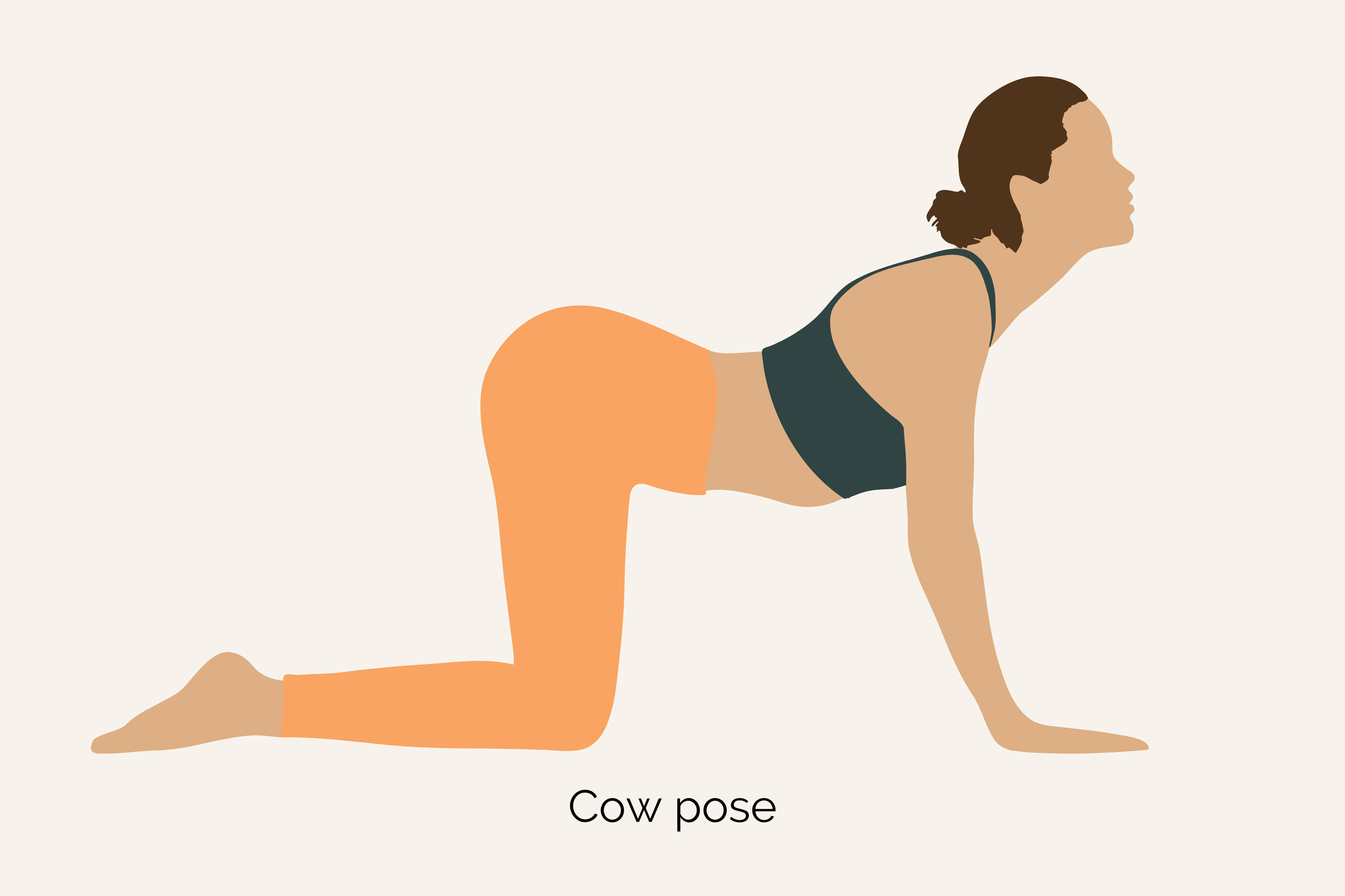 Cat pose (2).png