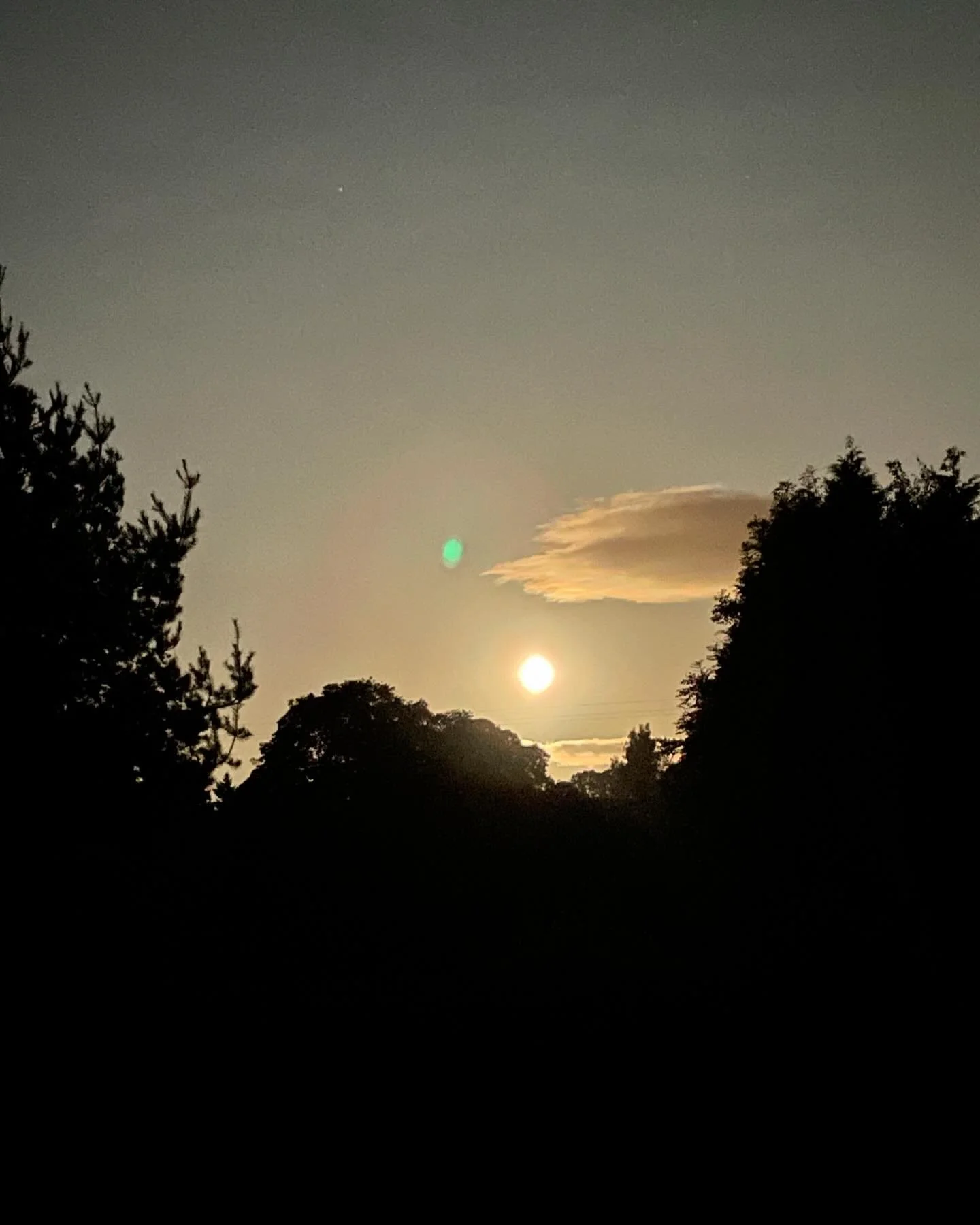 ✨ Happy Samhain (pronounced &ldquo;sow-in&rdquo;), everyone! ✨

As we celebrate this special time, let&rsquo;s remember that Samhain marks the transition between the light and dark half of the year. Originating from ancient pagan Celtic traditions, t