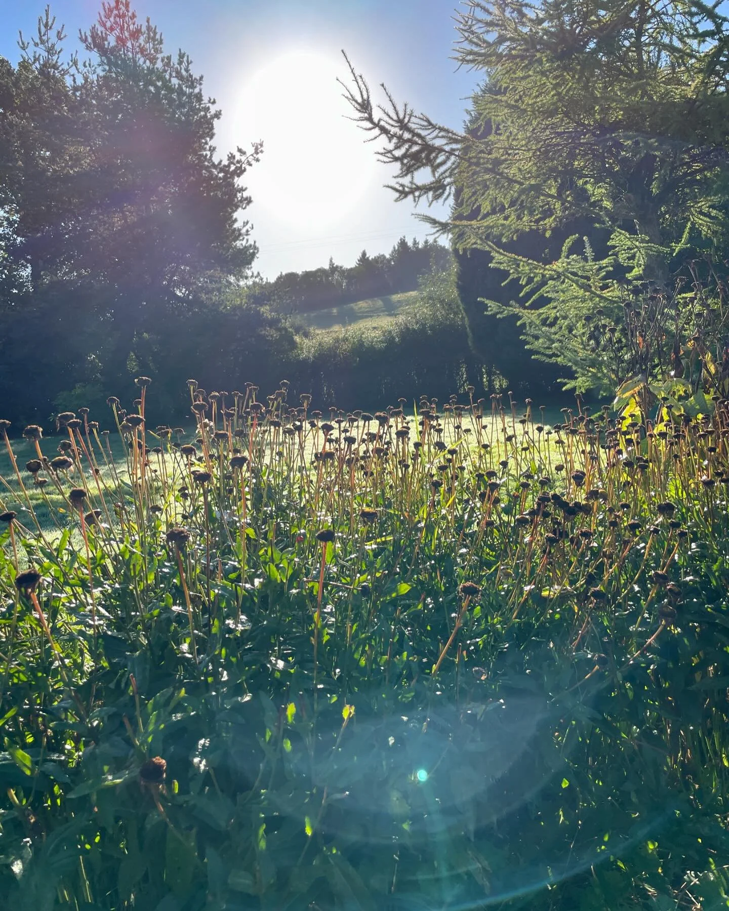 &ldquo;What is my purpose?&rdquo; It&rsquo;s a question I hear from my clients all the time. 🤔

But maybe the real question isn&rsquo;t why, but how. My purpose shifts every day. Some days, it&rsquo;s about being a loving daughter or a supportive fr