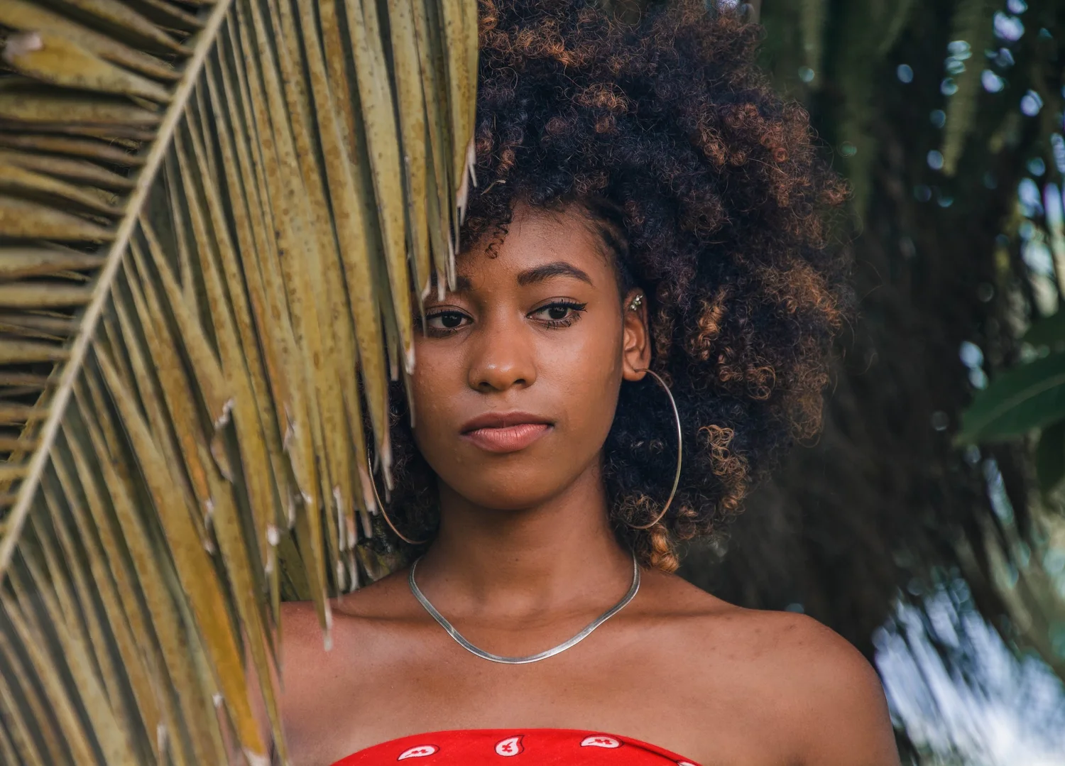Contact — Curly Hair Salon
