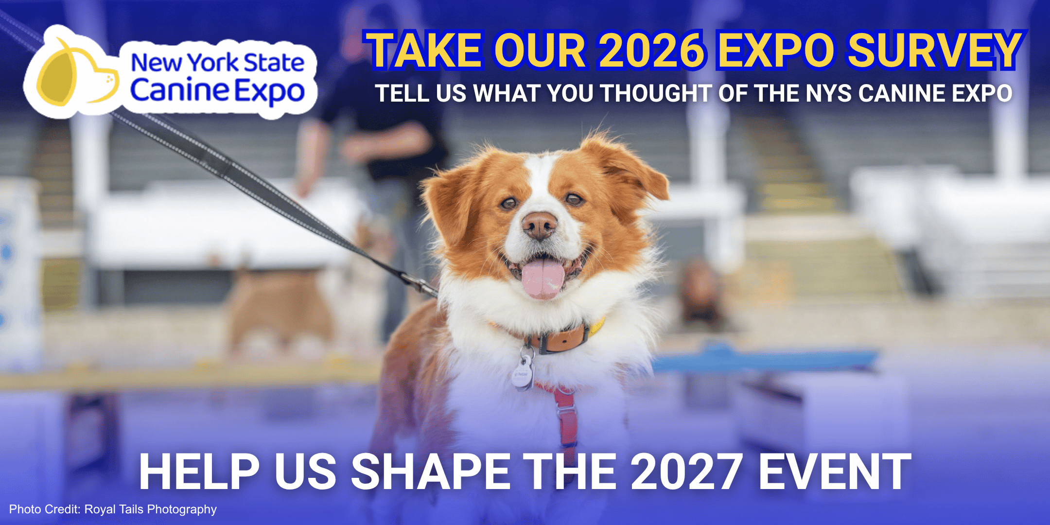 Expo Email Survey-4.png
