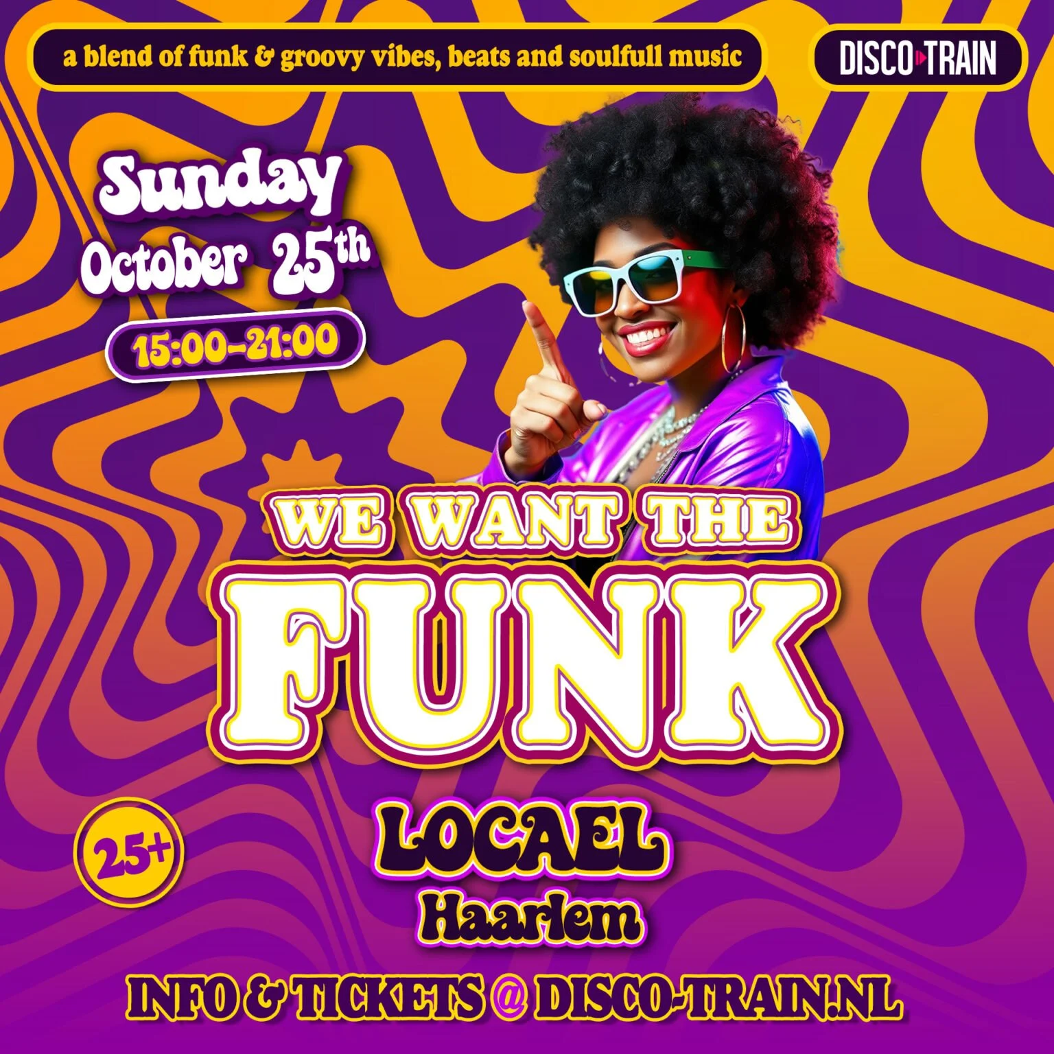 disco station haarlem