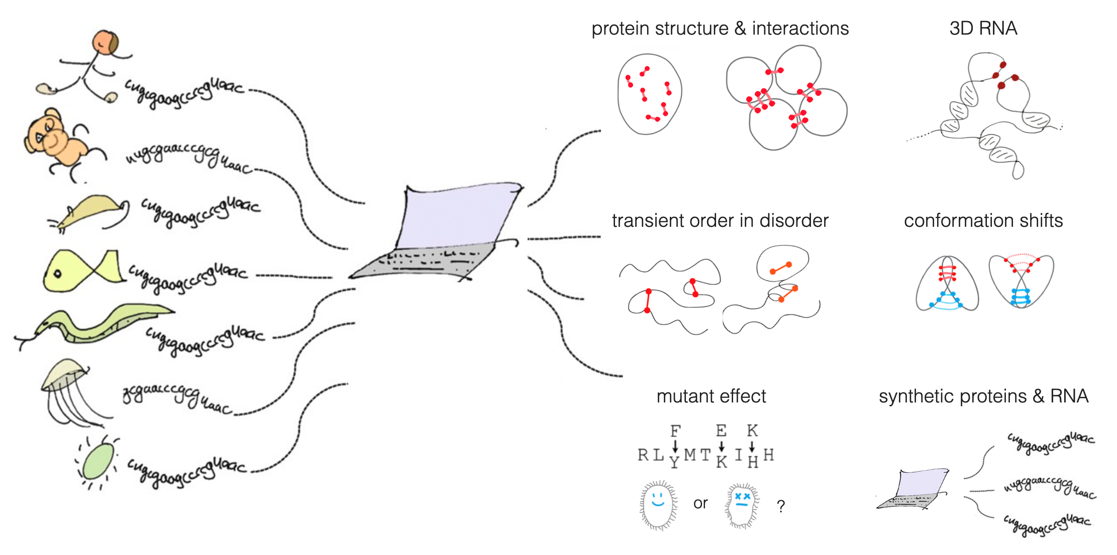 Marks_Lab_frontpage_graphic.png