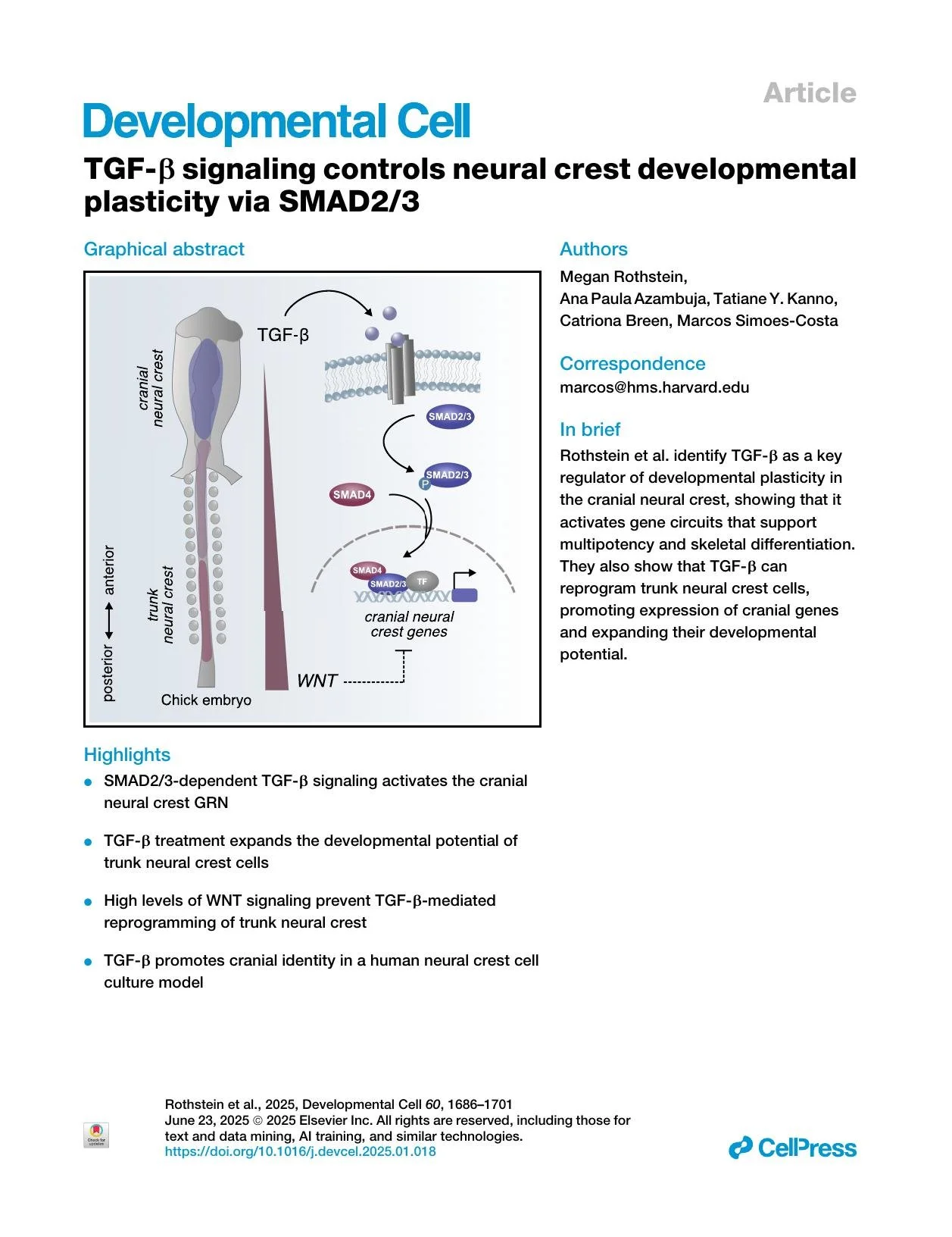 TGF-β signaling controls neural crest developmental plasticity via SMAD2/3