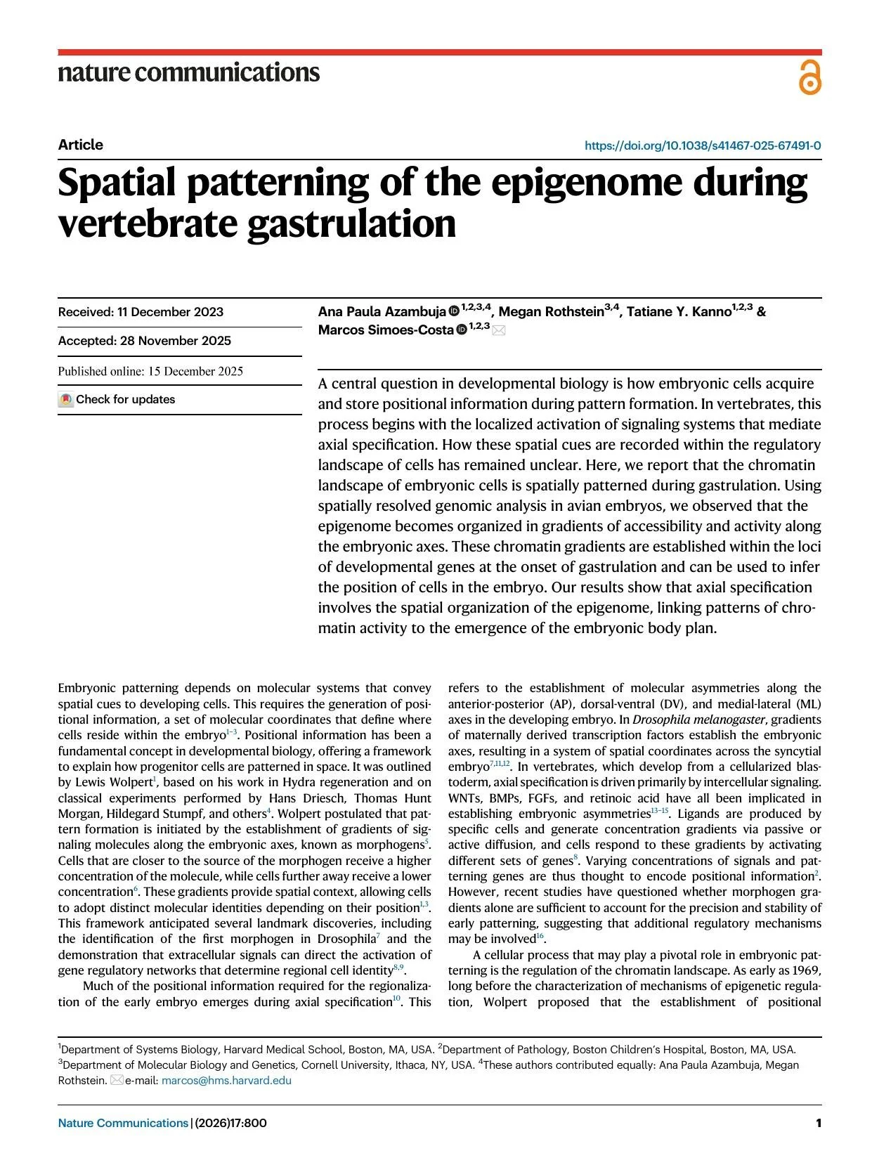 Spatial patterning of the epigenome during vertebrate gastrulation