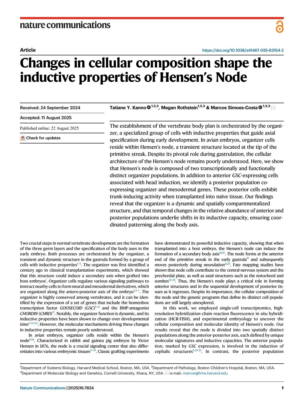 Changes in cellular composition shape the inductive properties of Hensen's Node