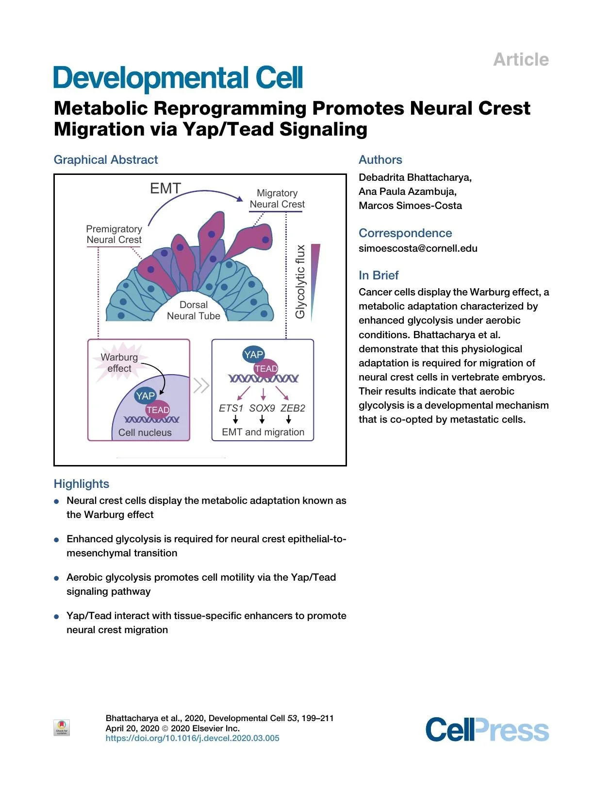 Metabolic Reprogramming Promotes Neural Crest Migration via Yap/Tead Signaling