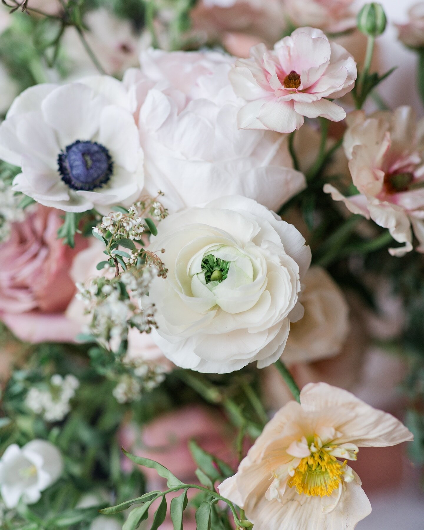 Happy Valentine&rsquo;s Day! 🩷

Photo: @katelynworkmanphotography 
.
.
.
.
.
.
#floral #floraldesign #wedding #weddingflowers #bridal #floralart #pawedding #wvwedding #florist #floristry #floristlife #smp #weddinginspo #springwedding #summerwedding 