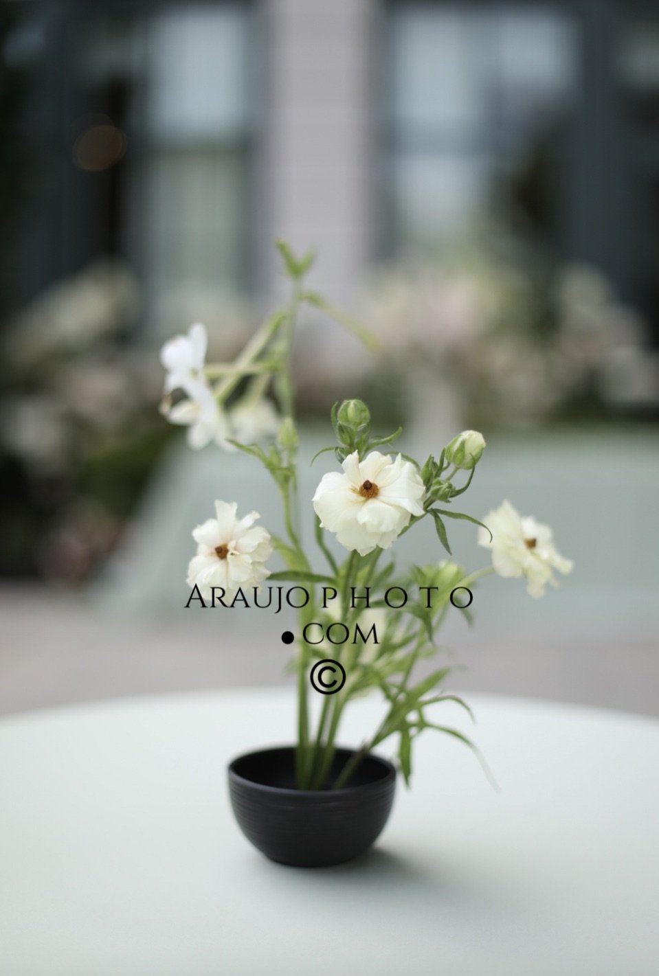 Image 2-26-26 at 11.23 AM.jpeg