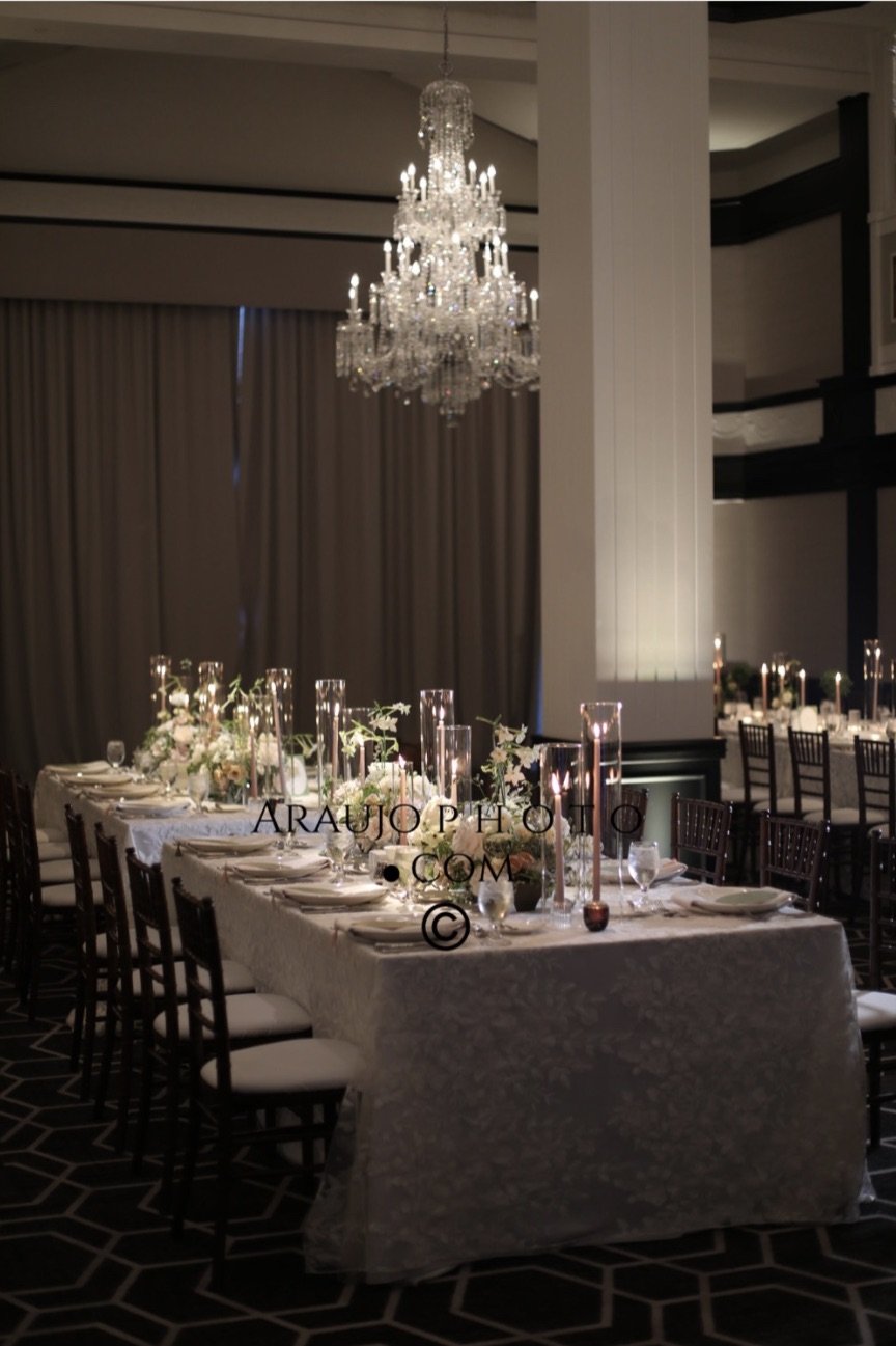 Image 2-26-26 at 11.27 AM.jpeg