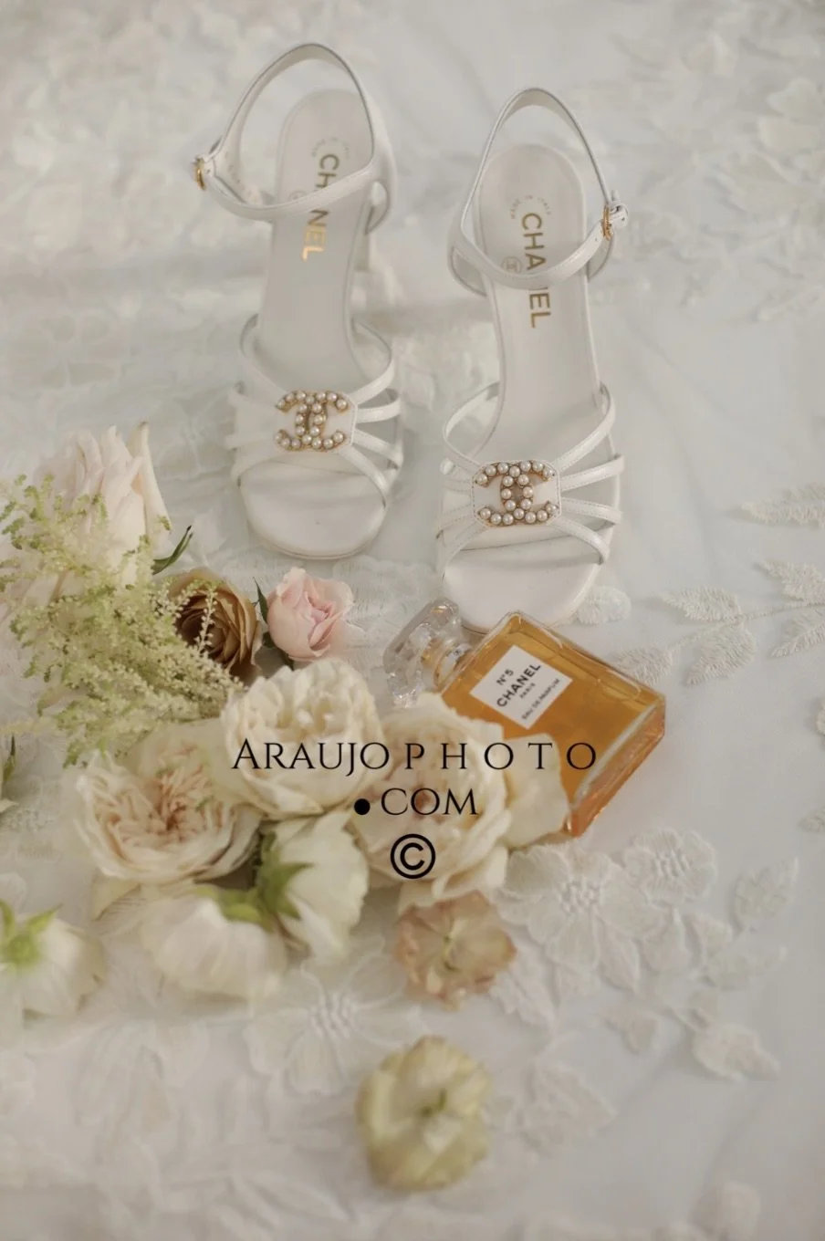 Image 2-26-26 at 11.29 AM.jpeg