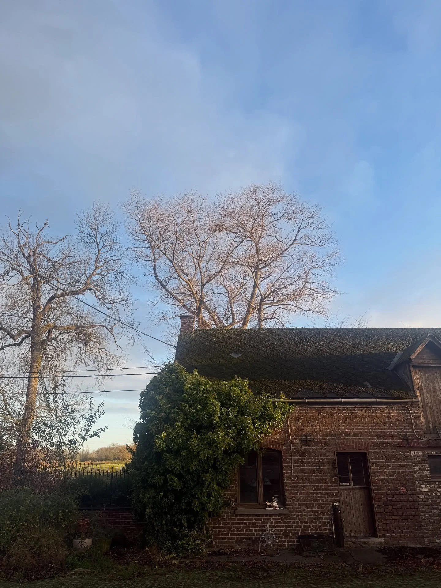 Na een periode van bijna 1 jaar kunnen we jullie eindelijk met trots meedelen dat we een prachtige boerderij hebben gekocht waar we onze visie verder zullen kunnen ontwikkelen. 

Alvast een kleine sneak peak van ons nieuw atelier! 

Helaas duurt het 